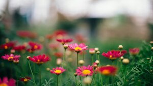 Greenfield Games April 2026 Event Schedule!