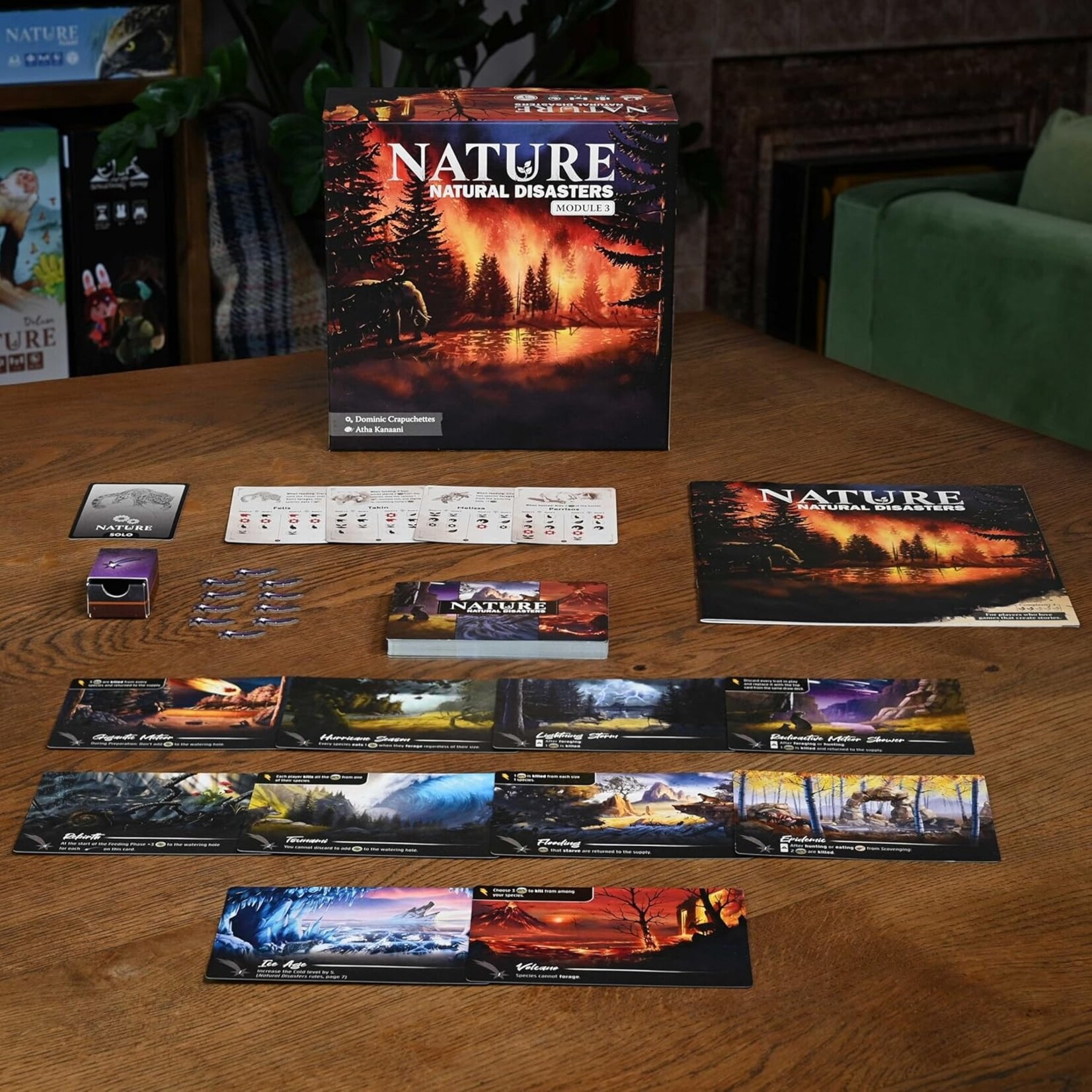 North Star Games Nature: Module 3: Natural Disasters Expansion