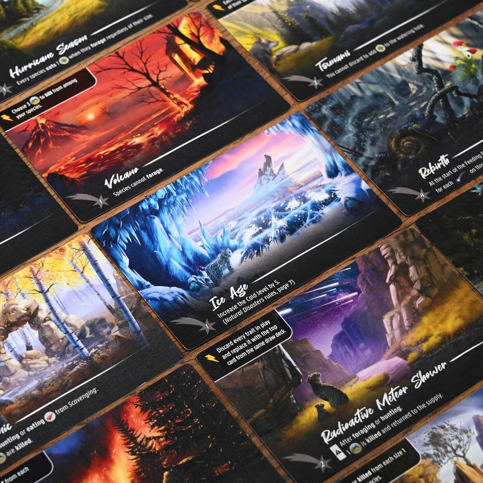 North Star Games Nature: Module 3: Natural Disasters Expansion