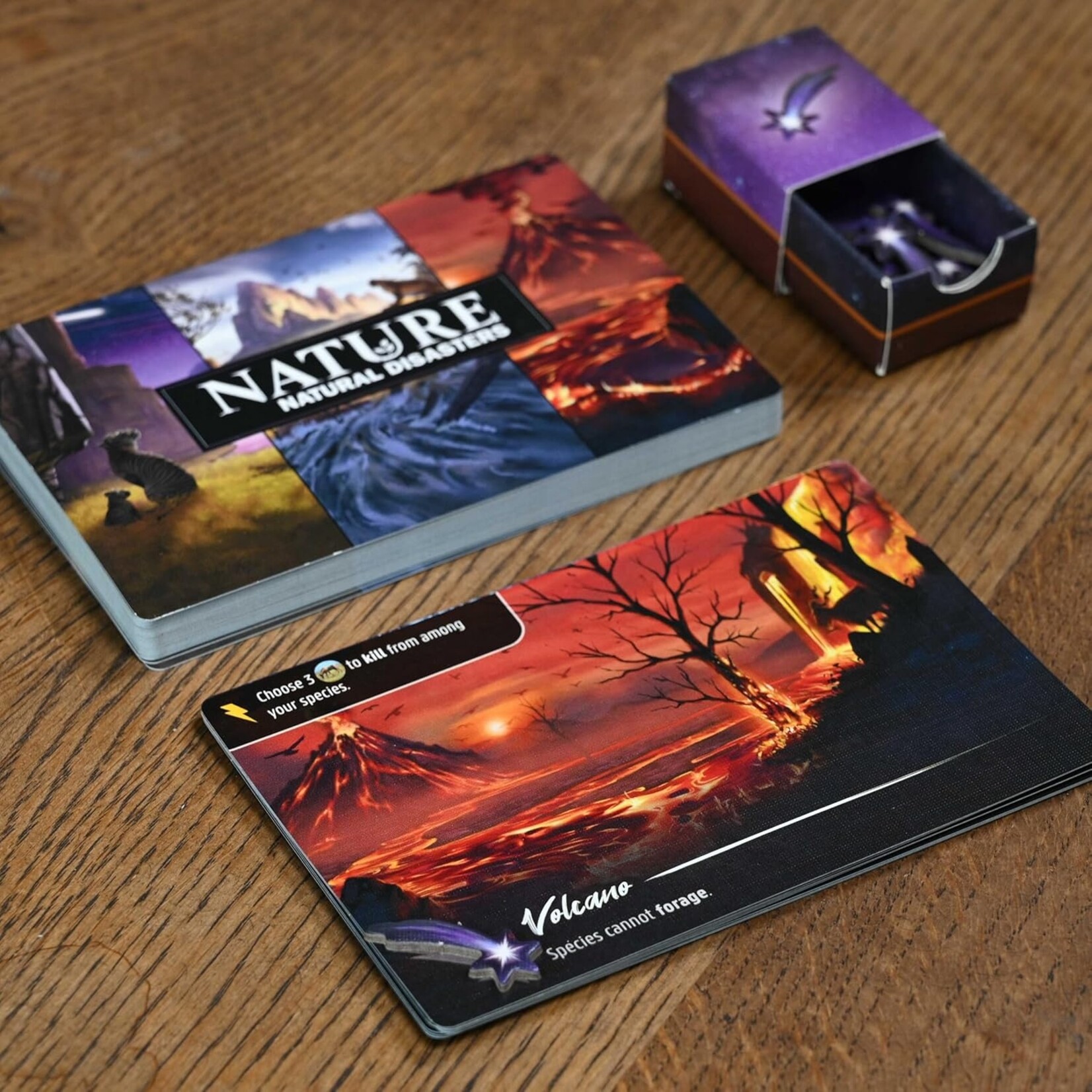 North Star Games Nature: Module 3: Natural Disasters Expansion