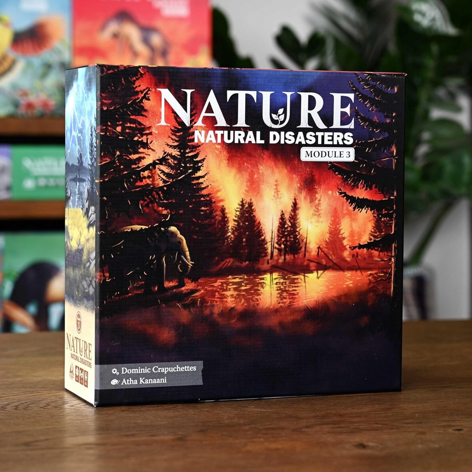 North Star Games Nature: Module 3: Natural Disasters Expansion