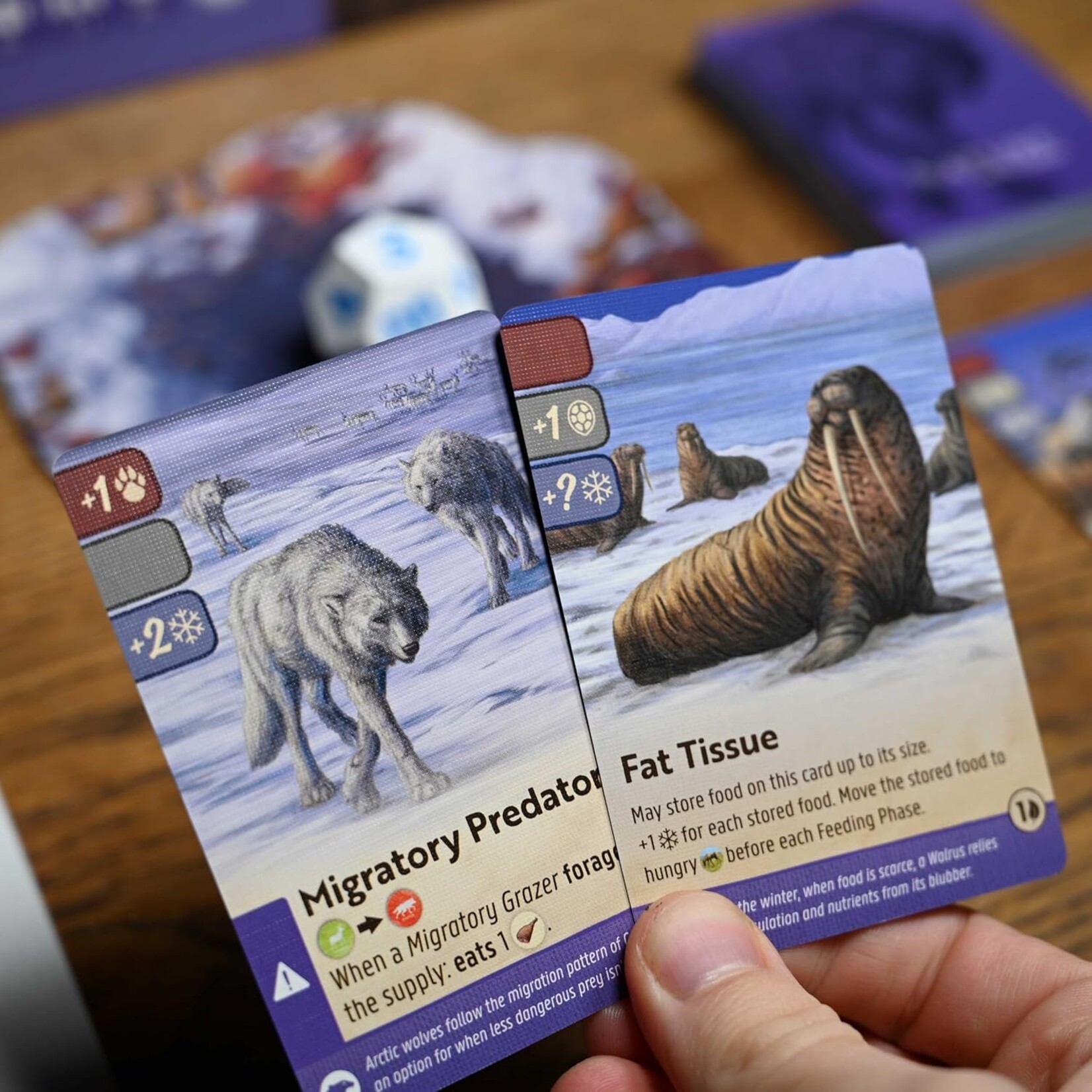 North Star Games Nature: Module 4: Tundra Expansion