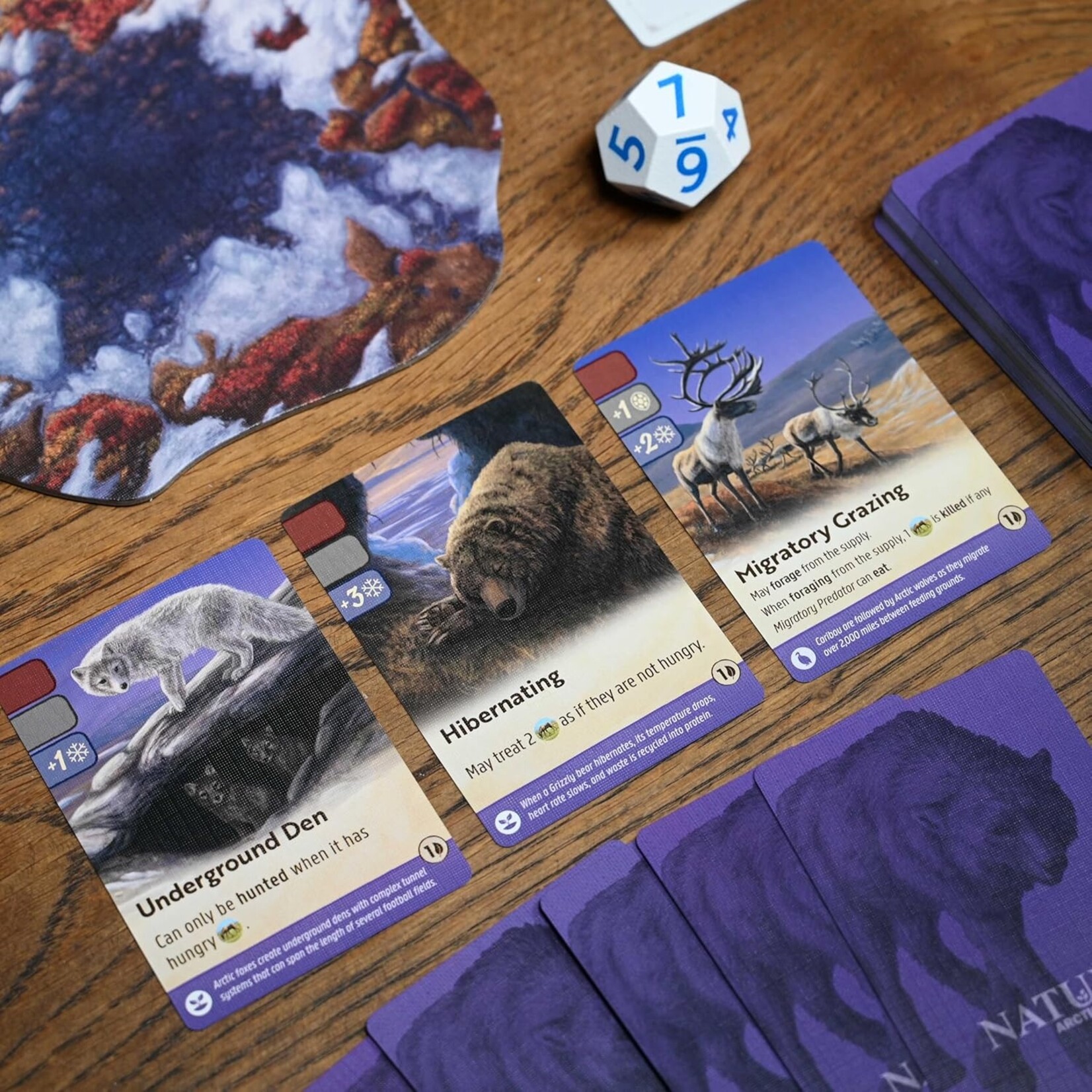 North Star Games Nature: Module 4: Tundra Expansion