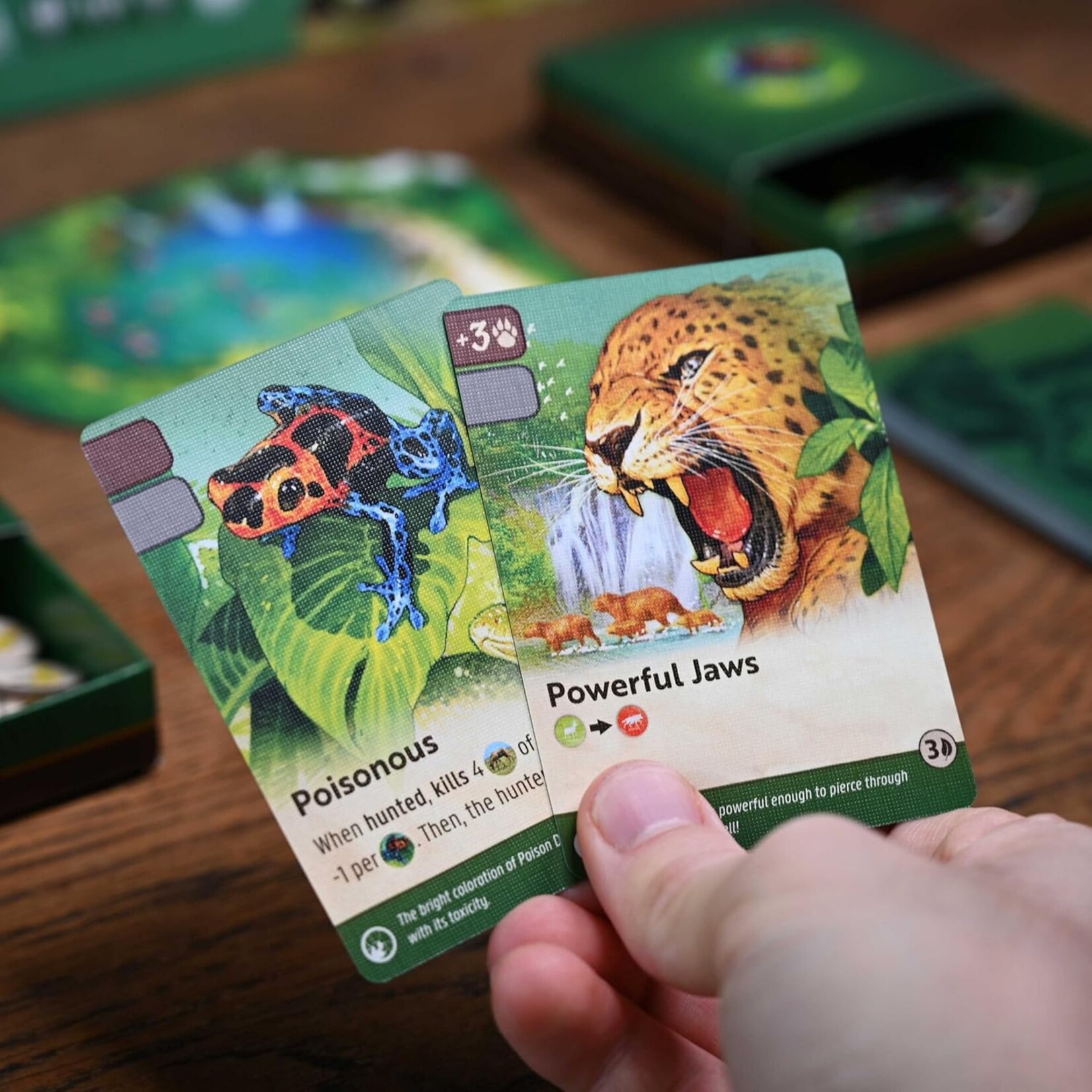 North Star Games Nature: Module 5: Rainforest Expansion