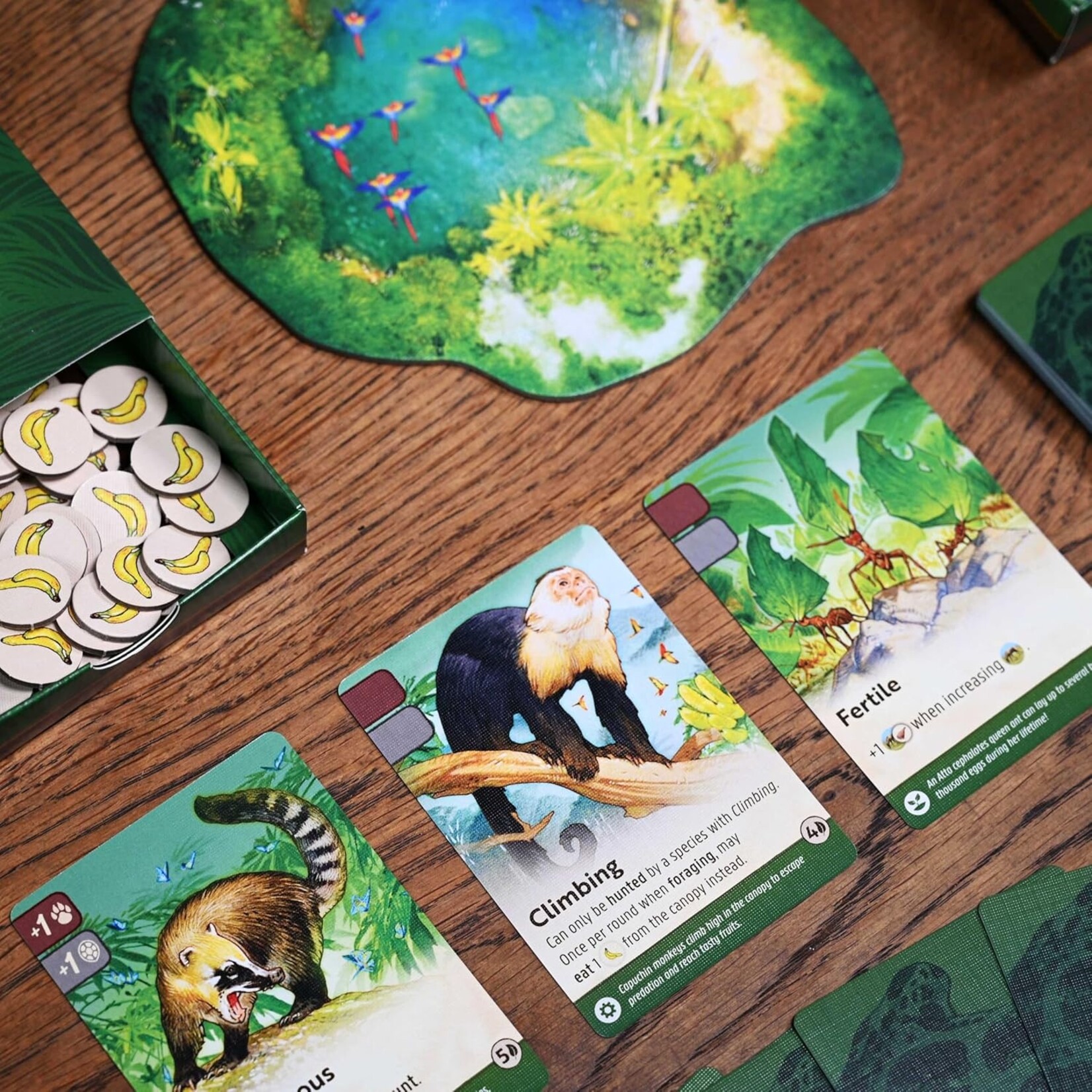 North Star Games Nature: Module 5: Rainforest Expansion