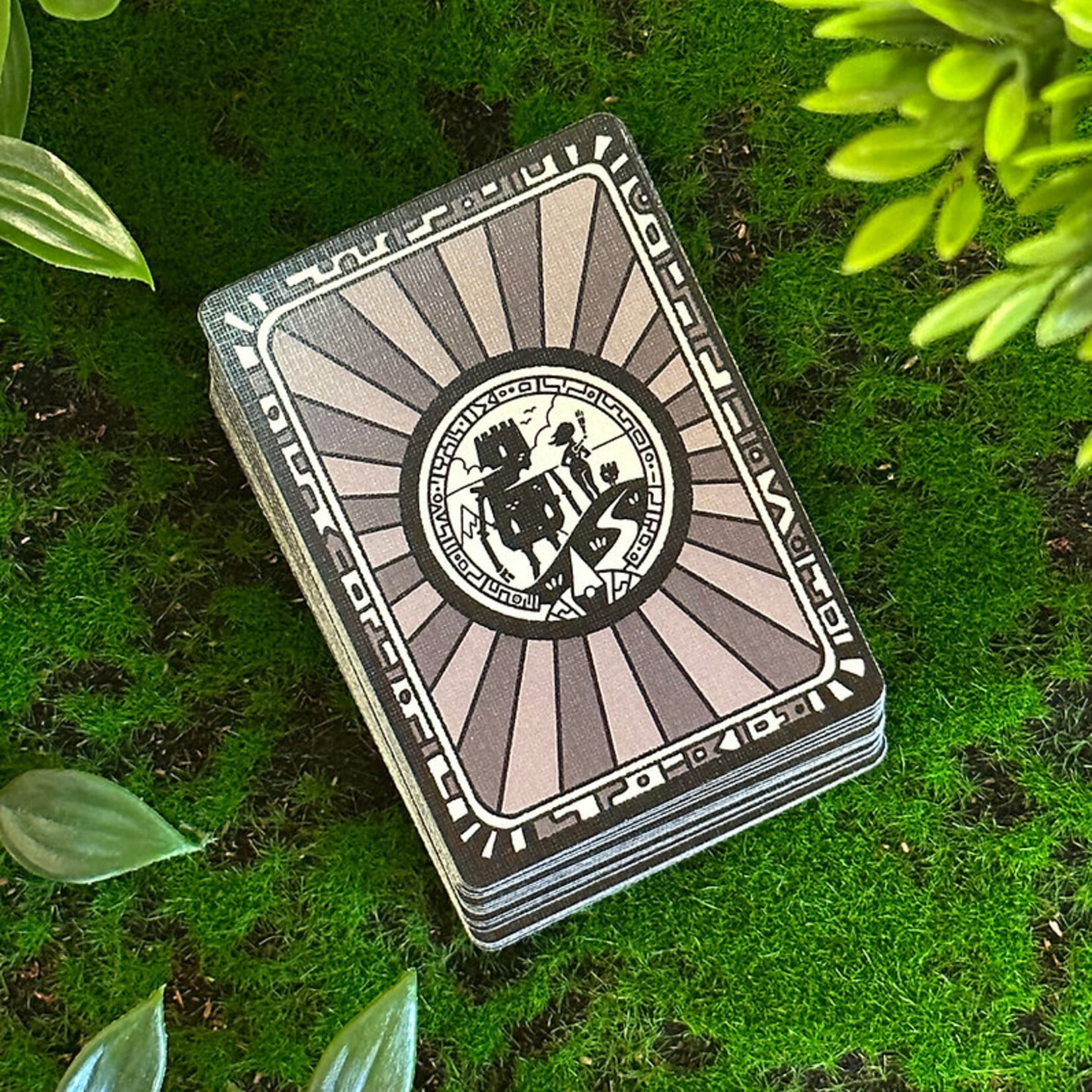 Colostle Colostle: Roomlander Playing Cards Deck