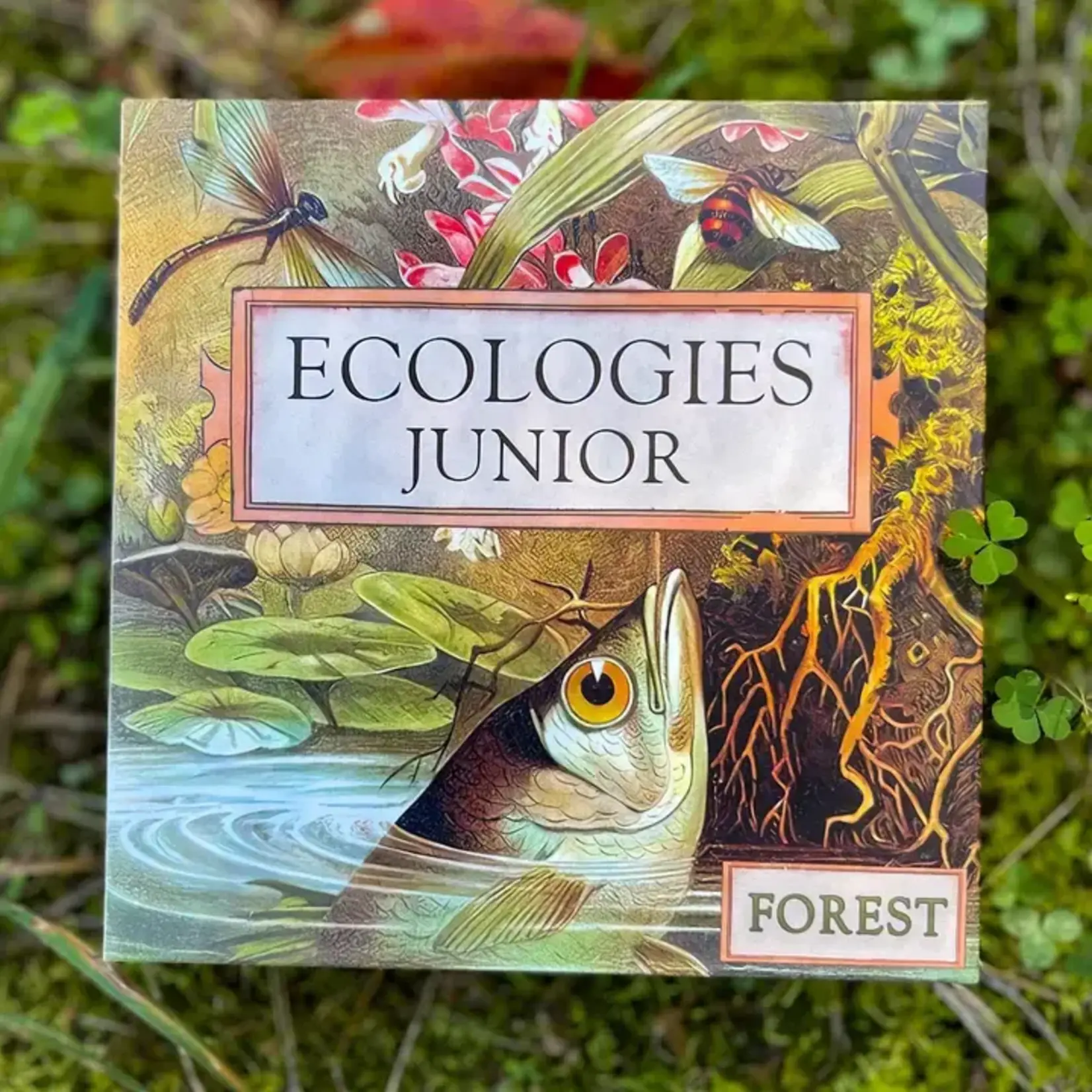 Montrose Biology Ecologies Junior: Forest
