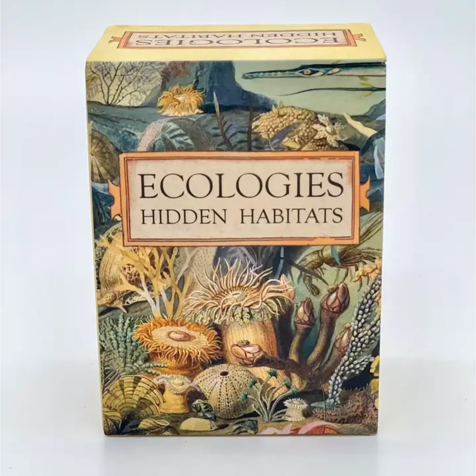 Montrose Biology Ecologies: Hidden Habitats