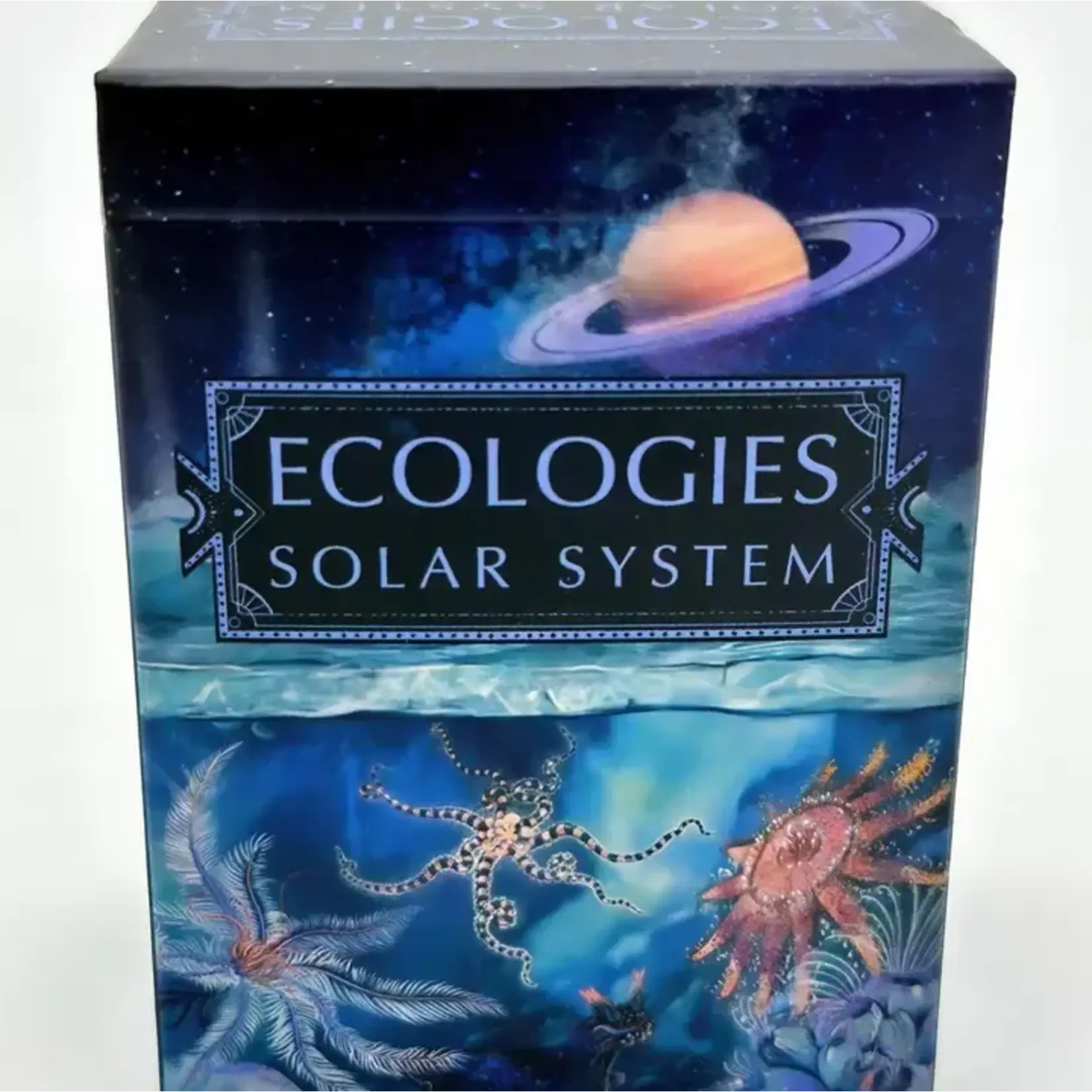 Montrose Biology Ecologies: Solar System
