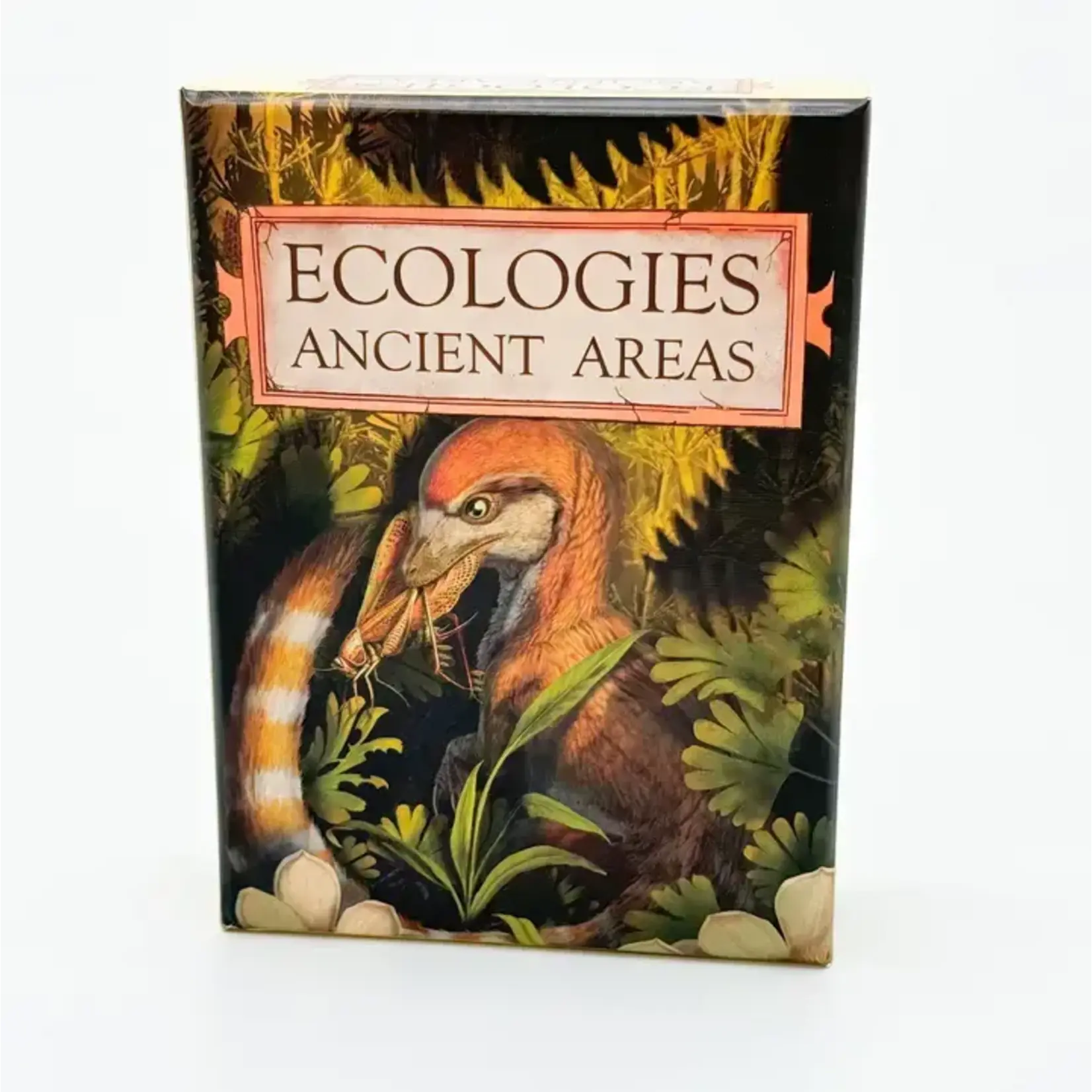 Montrose Biology Ecologies: Ancient Areas