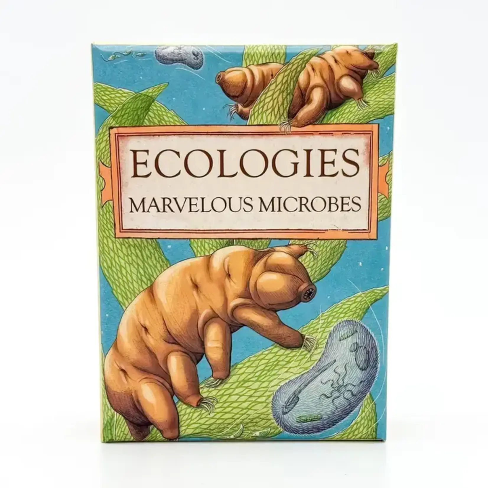 Montrose Biology Ecologies: Marvelous Microbes
