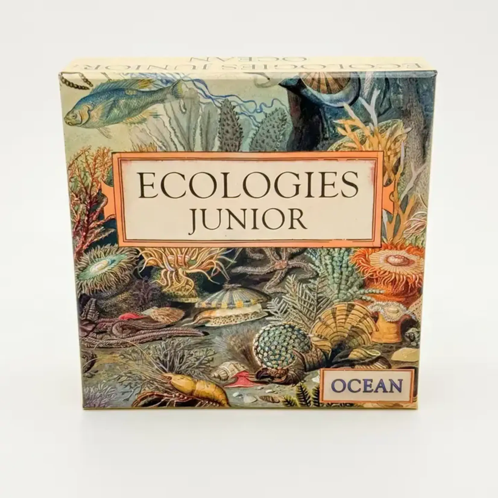 Montrose Biology Ecologies Junior: Ocean