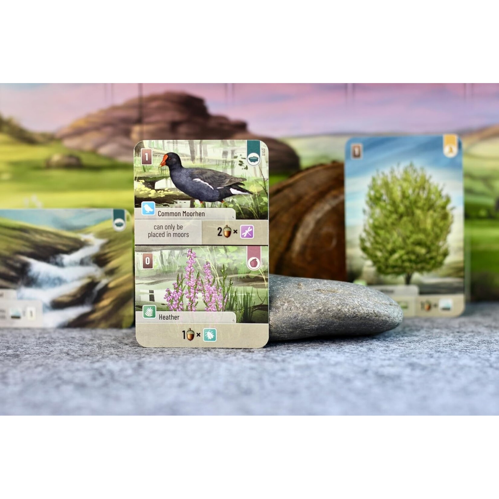 Lookout Games Forest Shuffle: Dartmoor Standalone