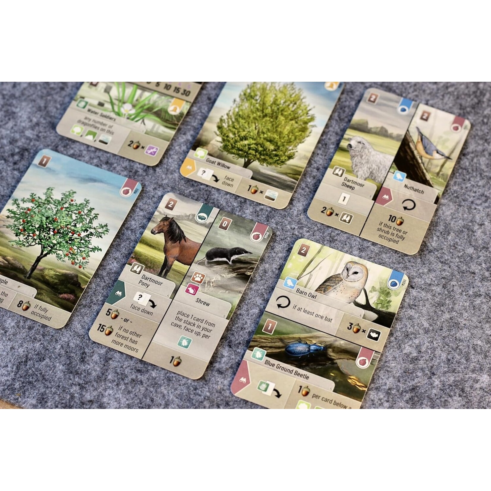 Lookout Games Forest Shuffle: Dartmoor Standalone