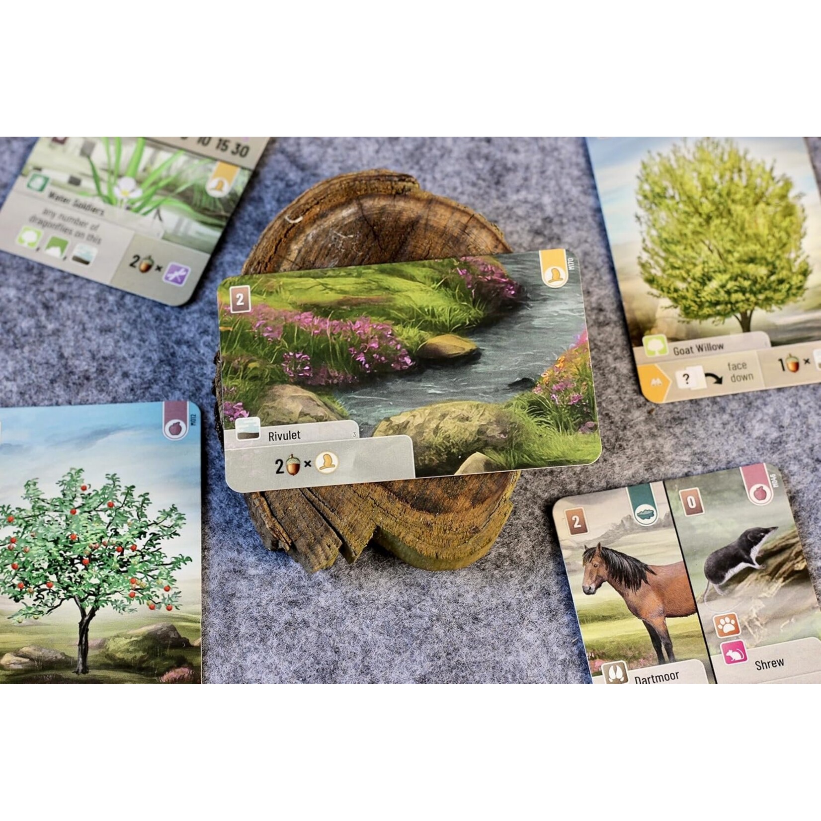 Lookout Games Forest Shuffle: Dartmoor Standalone