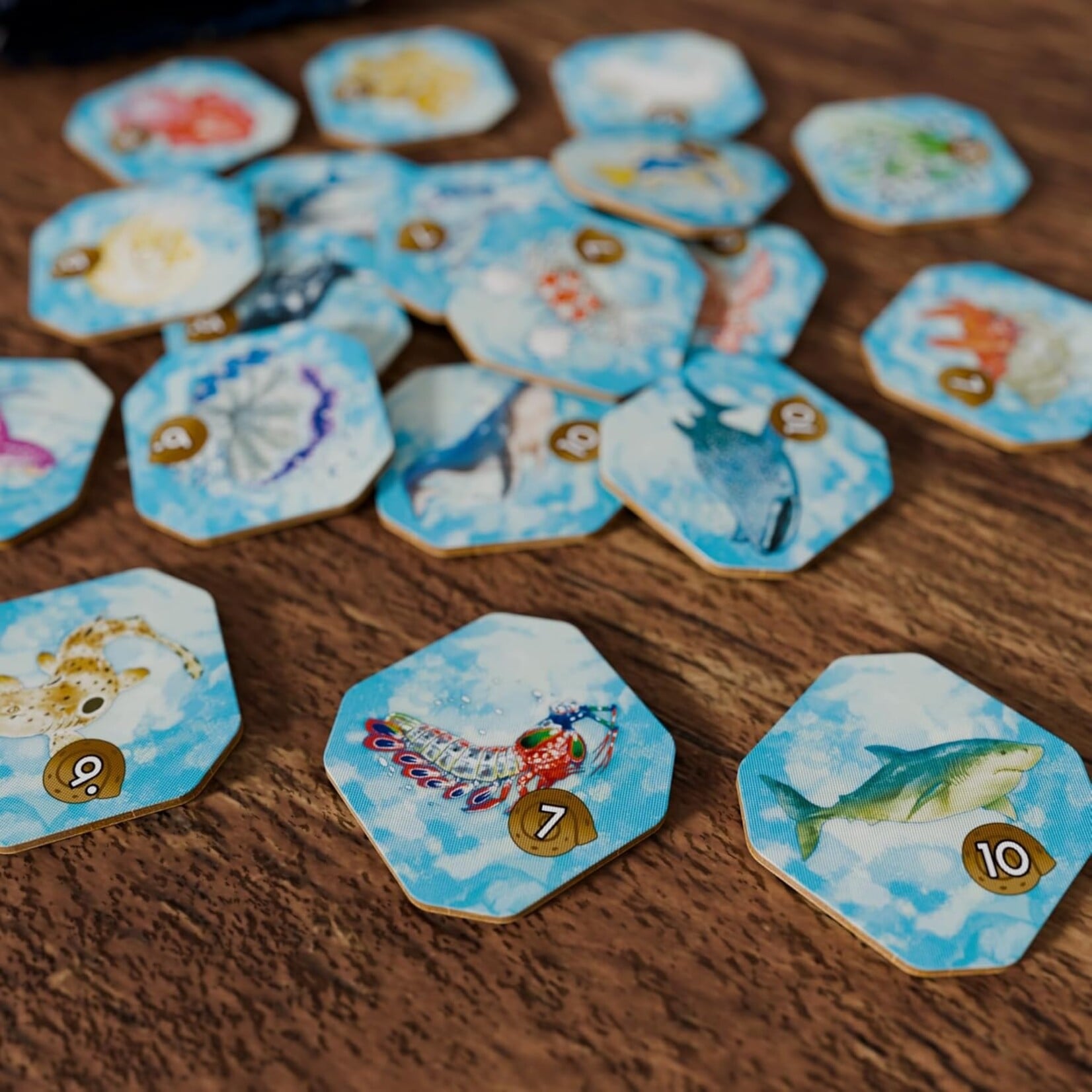 Bad Comet Games Shallow Sea