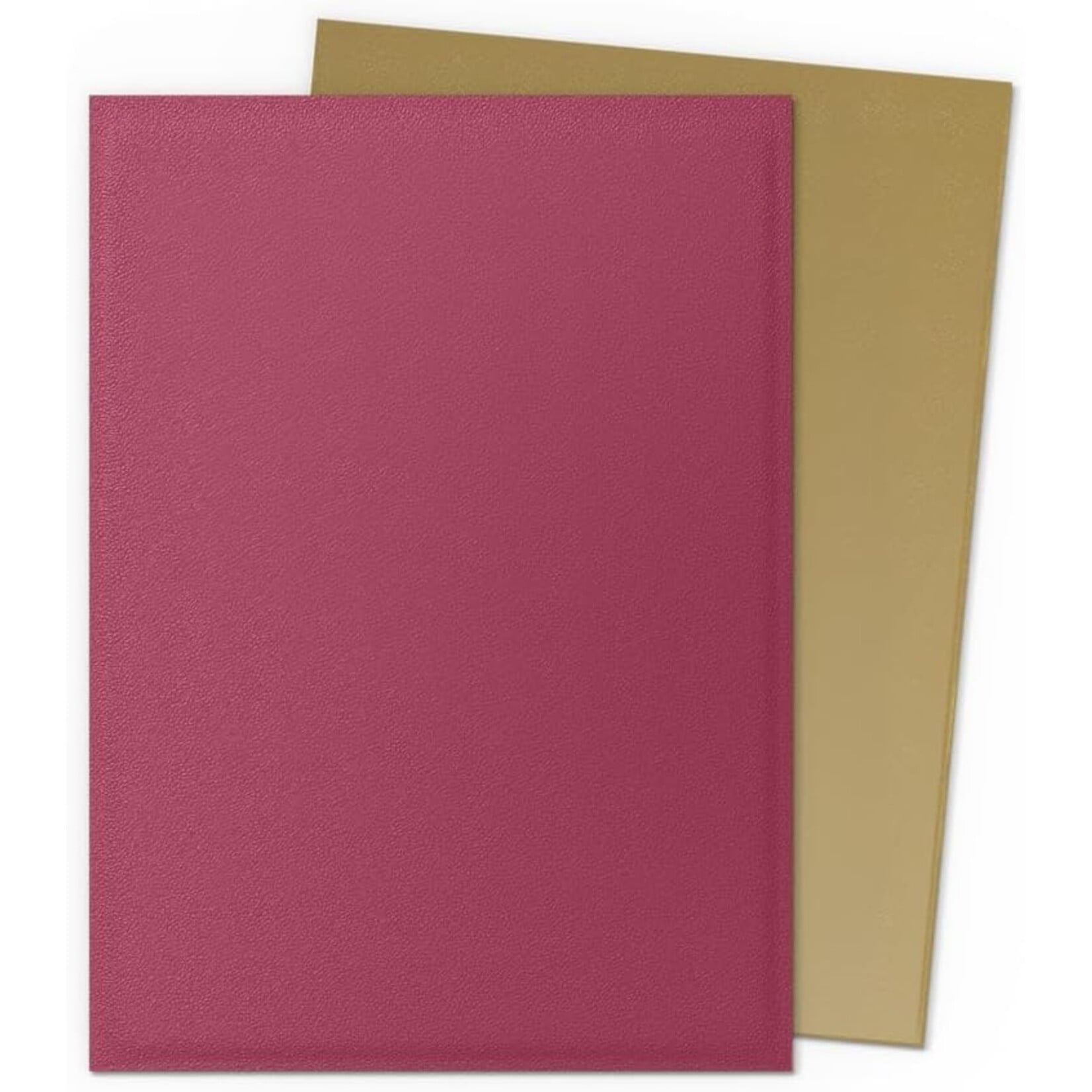 ARCANE TINMEN Dragon Shield: (100) Matte Dual - Pomegranate/Gold