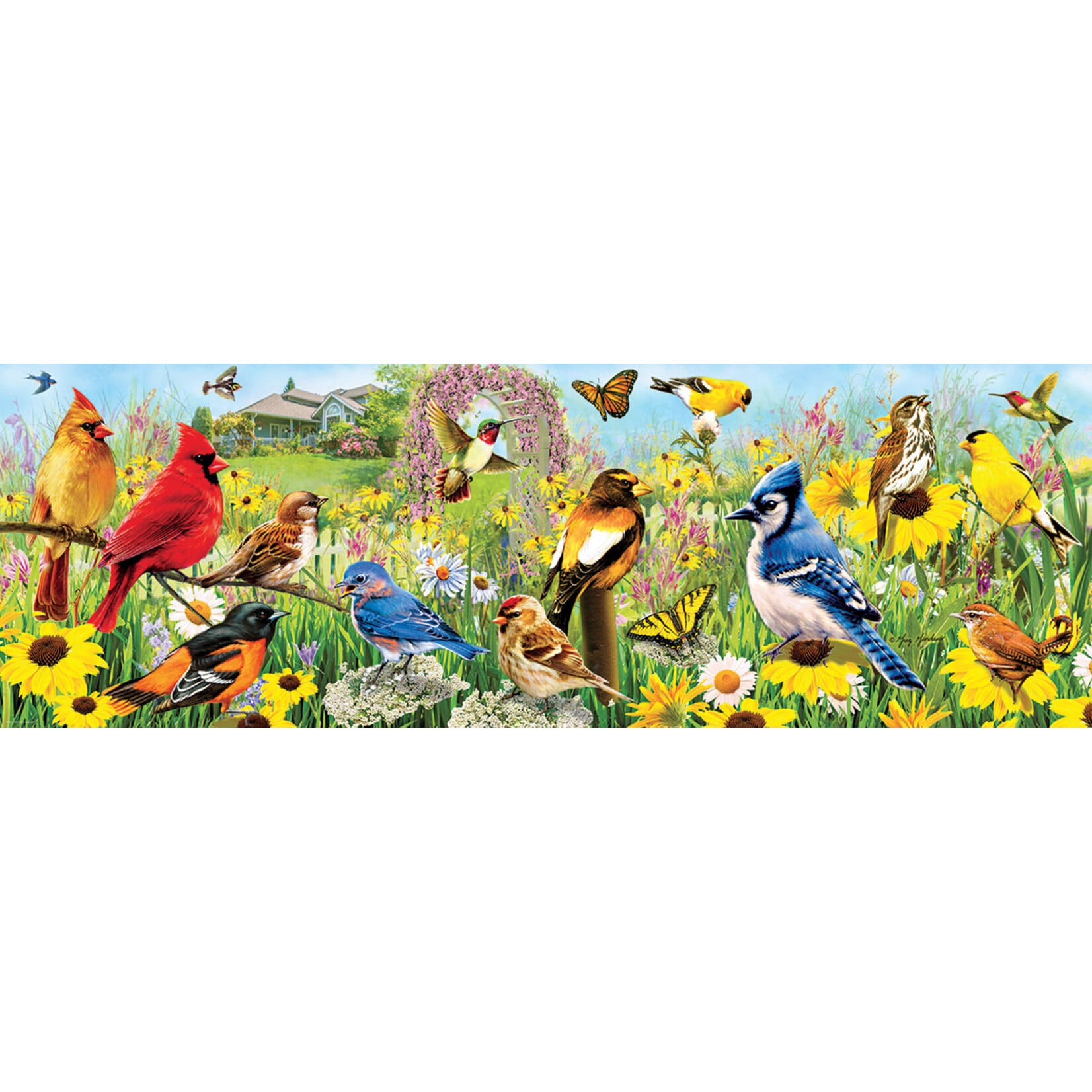 EuroGraphics Puzzles Garden Birds Panoramic 1000 pc