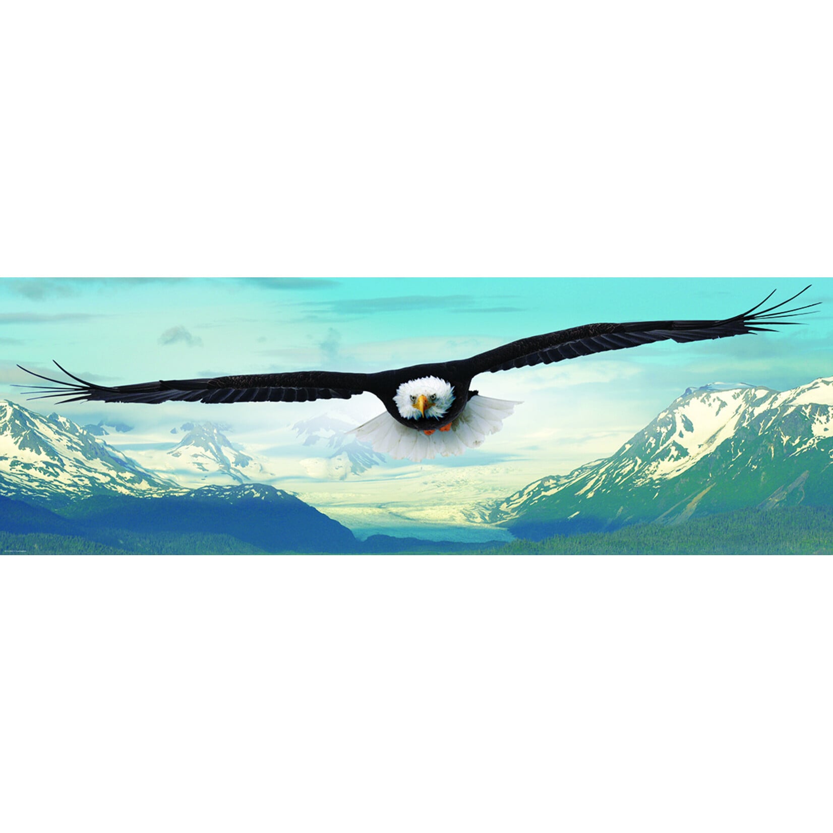 EuroGraphics Puzzles Eagle Panoramic 1000 pc