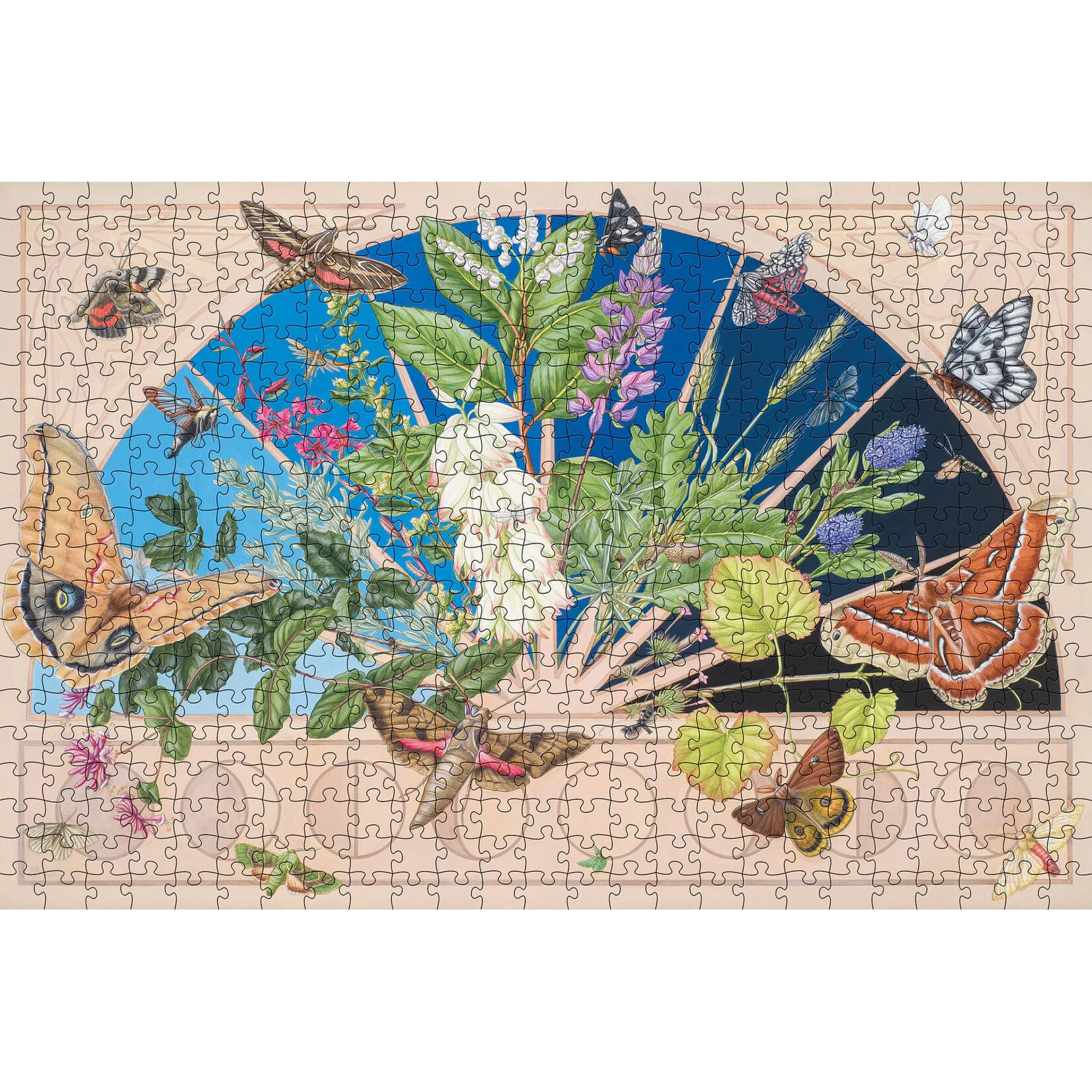Erin E. Hunter: Emergence 500pc