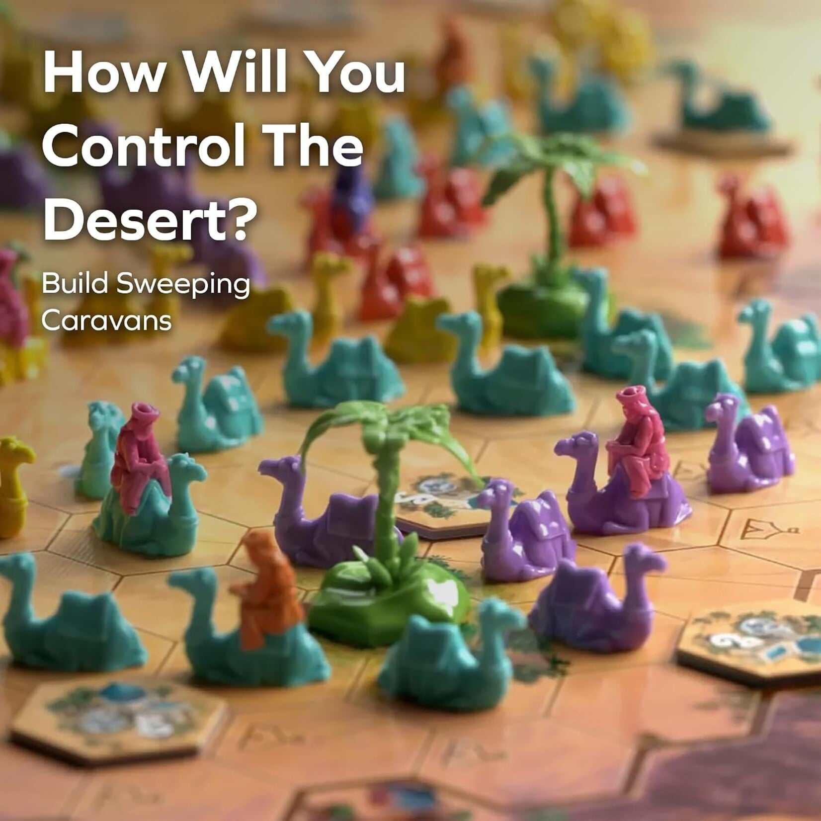 Allplay Through the Desert