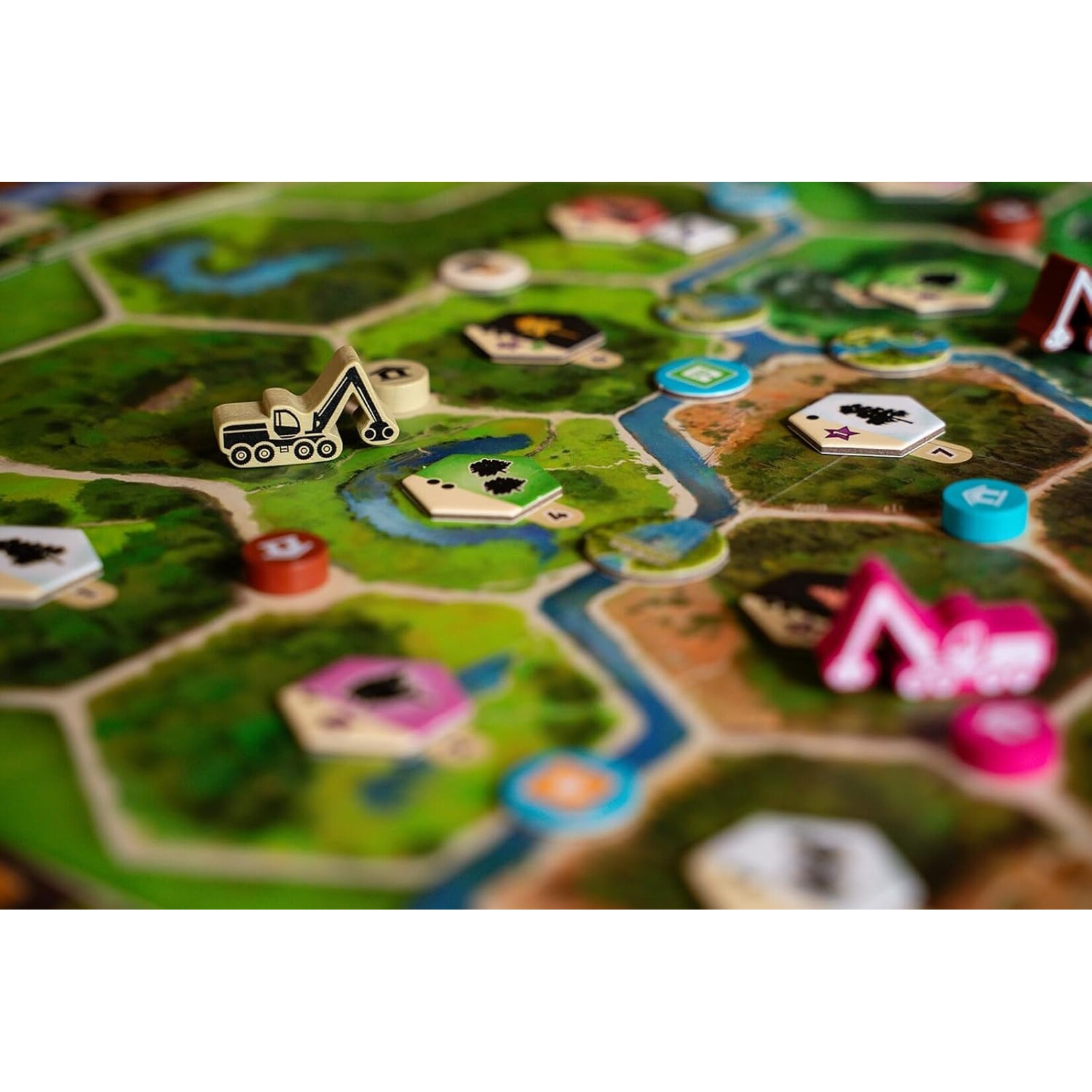 Capstone Games Forestry