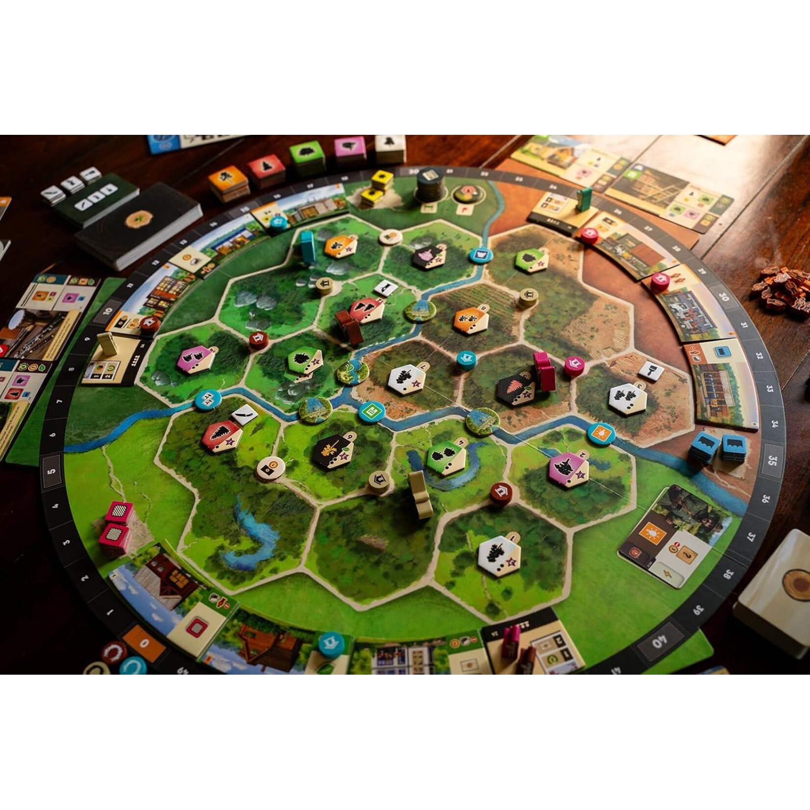 Capstone Games Forestry