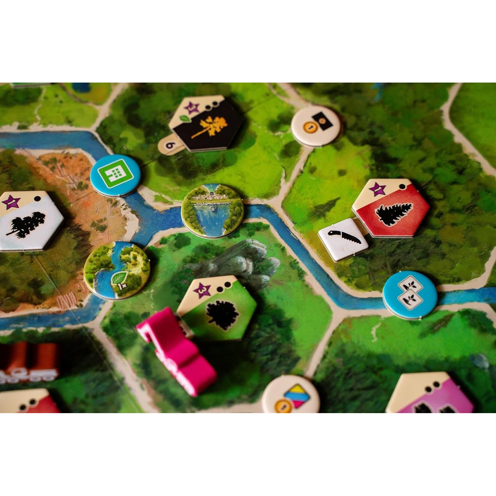 Capstone Games Forestry