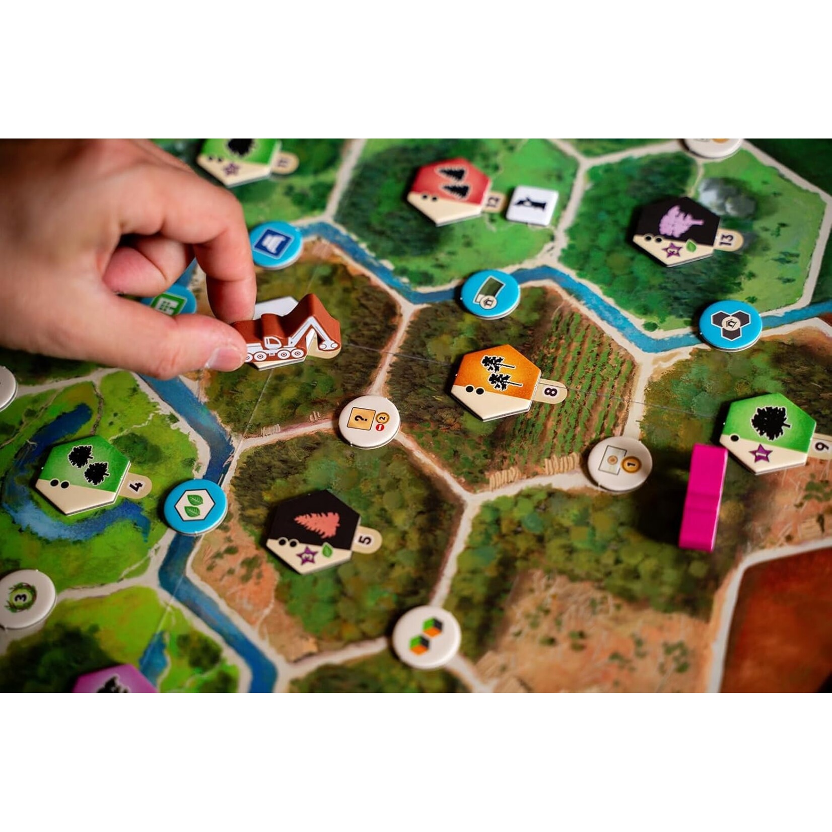 Capstone Games Forestry