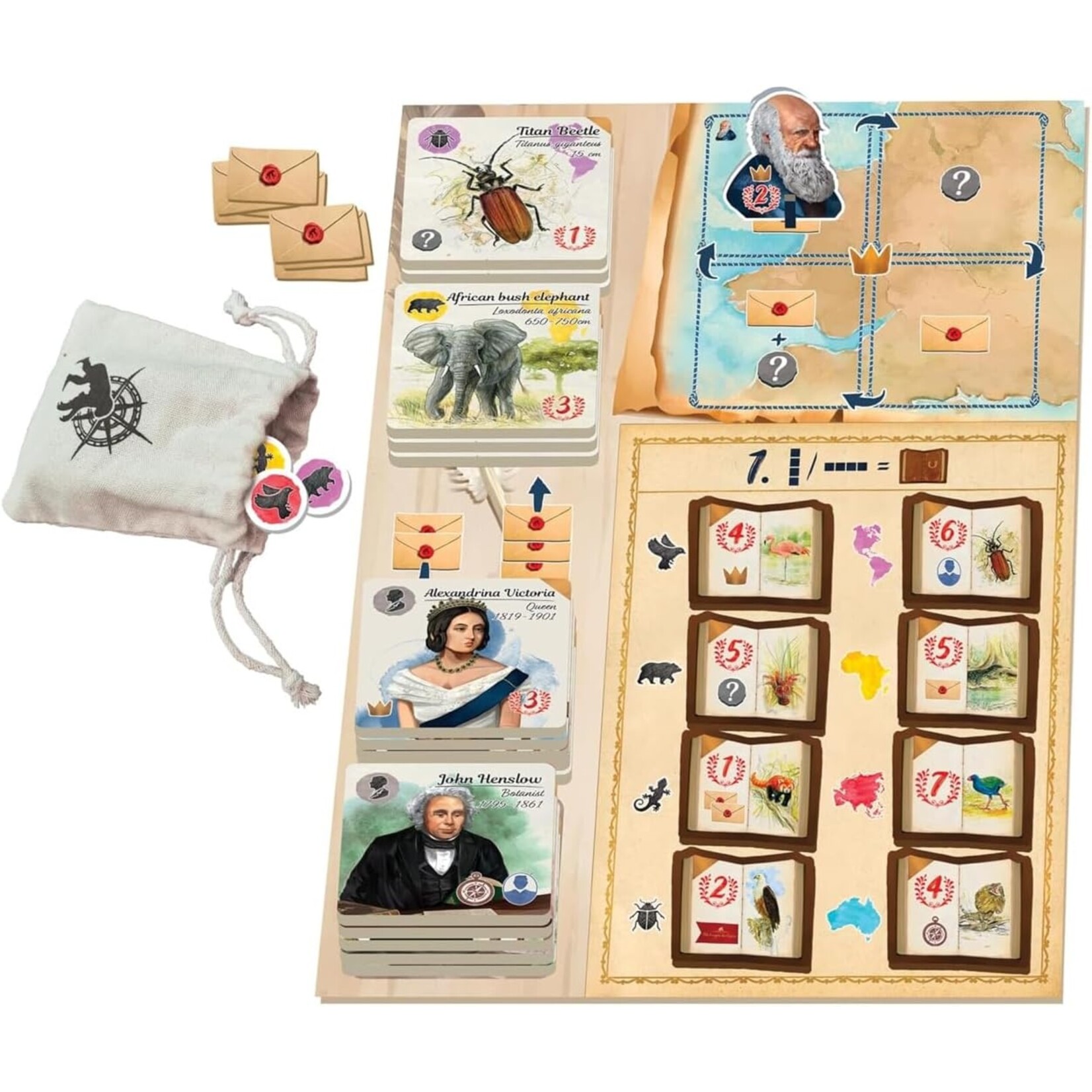 Sorry We Are French In the Footsteps of Darwin: Correspondence Expansion