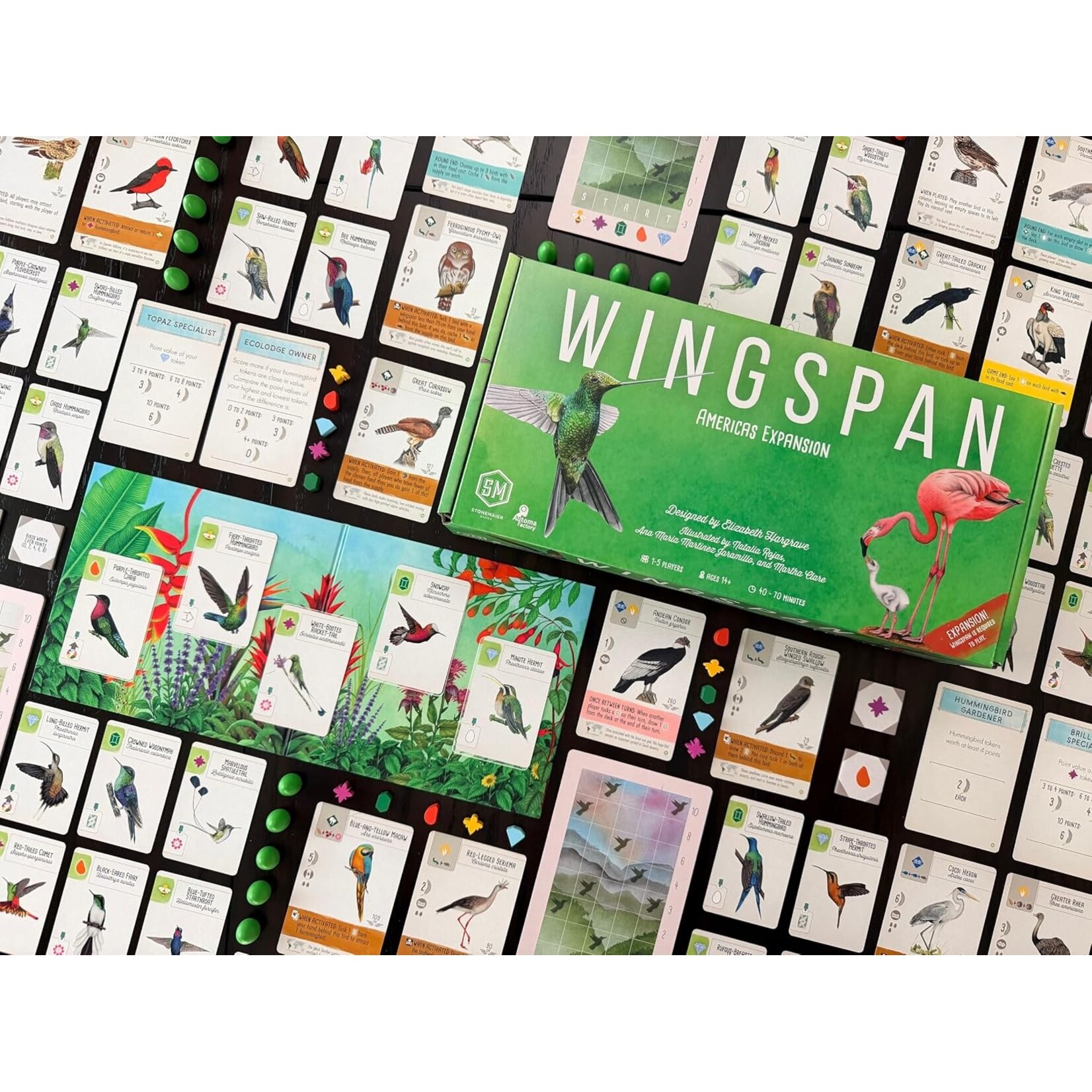 Stonemaier Games Wingspan: Americas Expansion