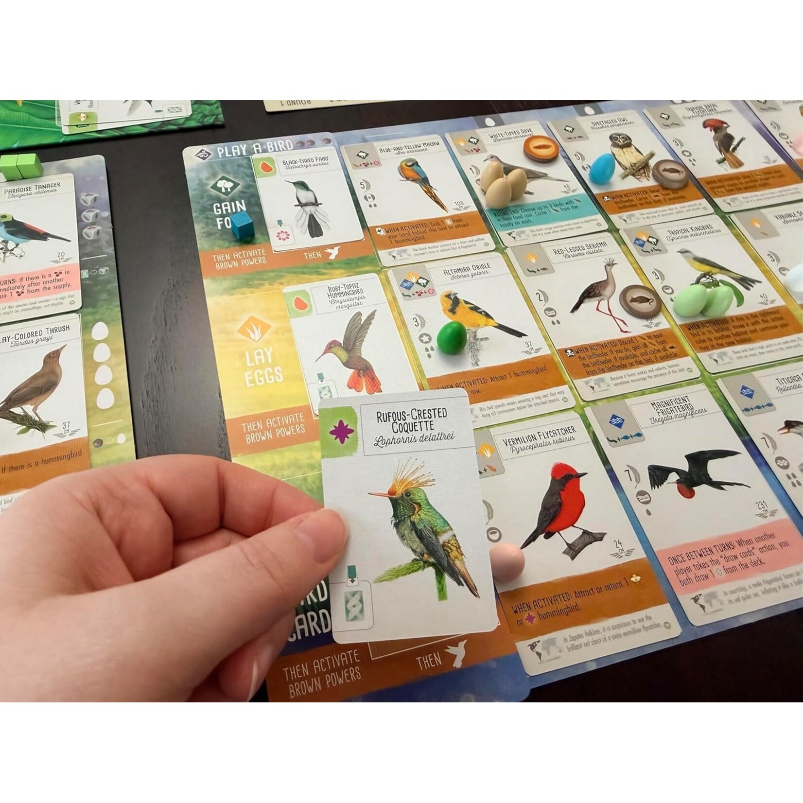 Stonemaier Games Wingspan: Americas Expansion