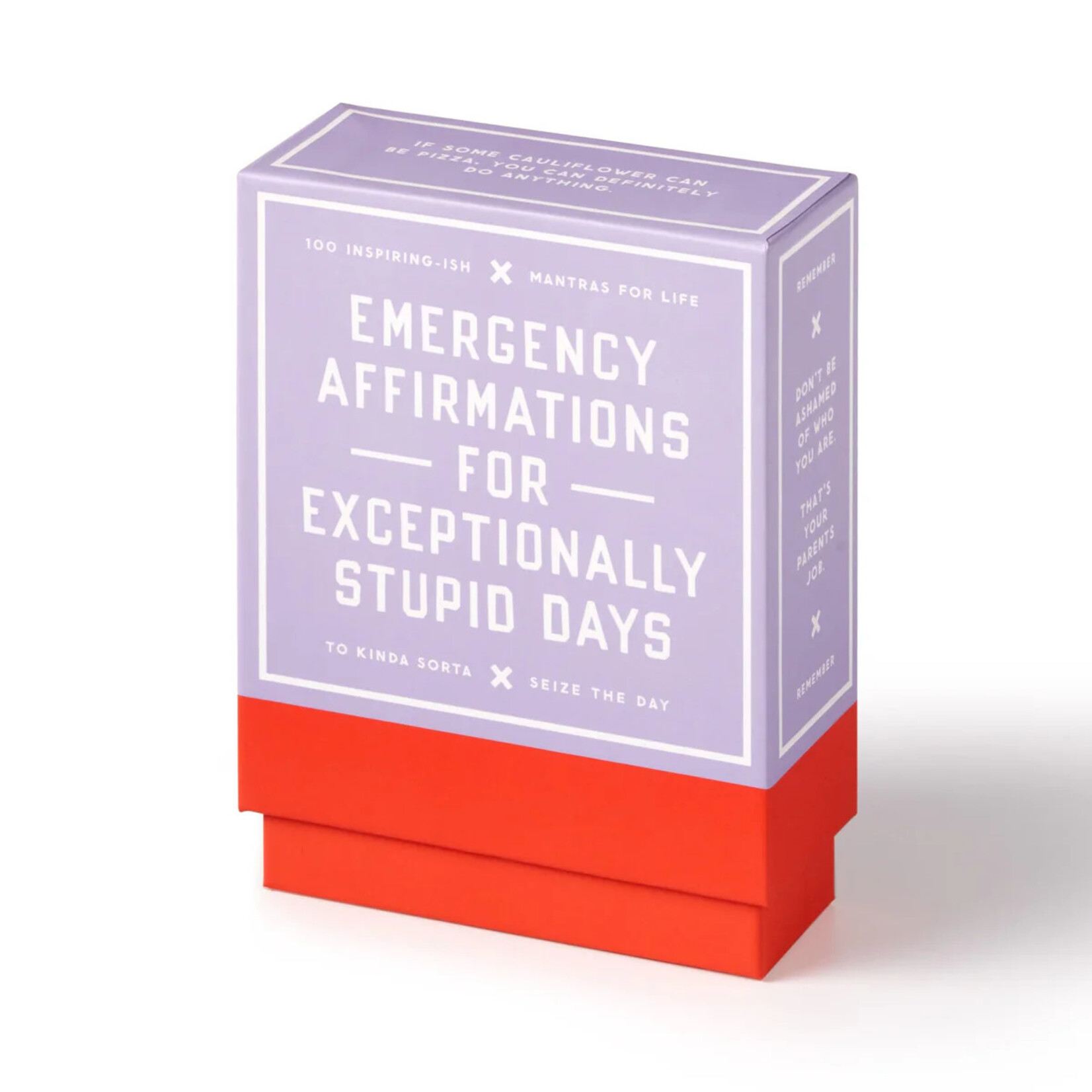 Chronicle Books Brass Monkey Emergency Affirmations Exceptionally Stupid Days Card Deck