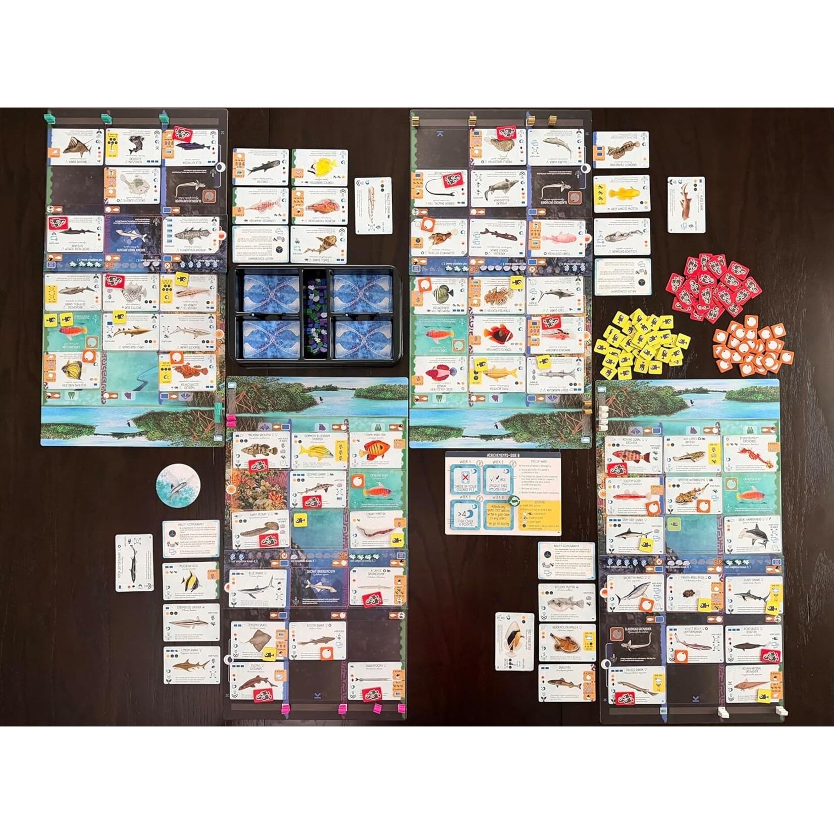Stonemaier Games Finspan Sharks & Reefs