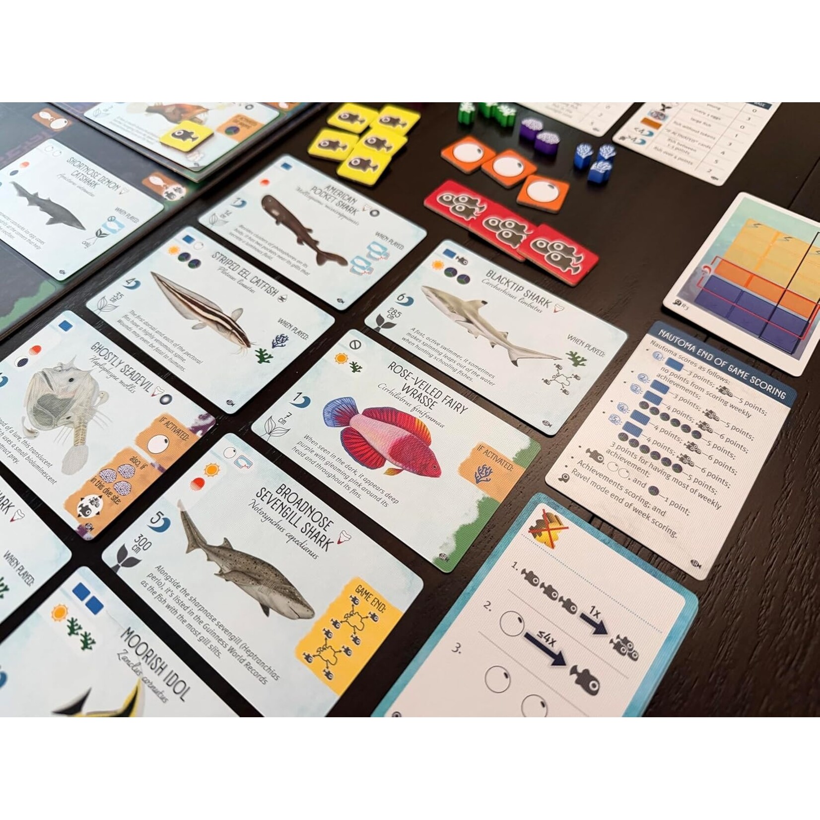 Stonemaier Games Finspan Sharks & Reefs