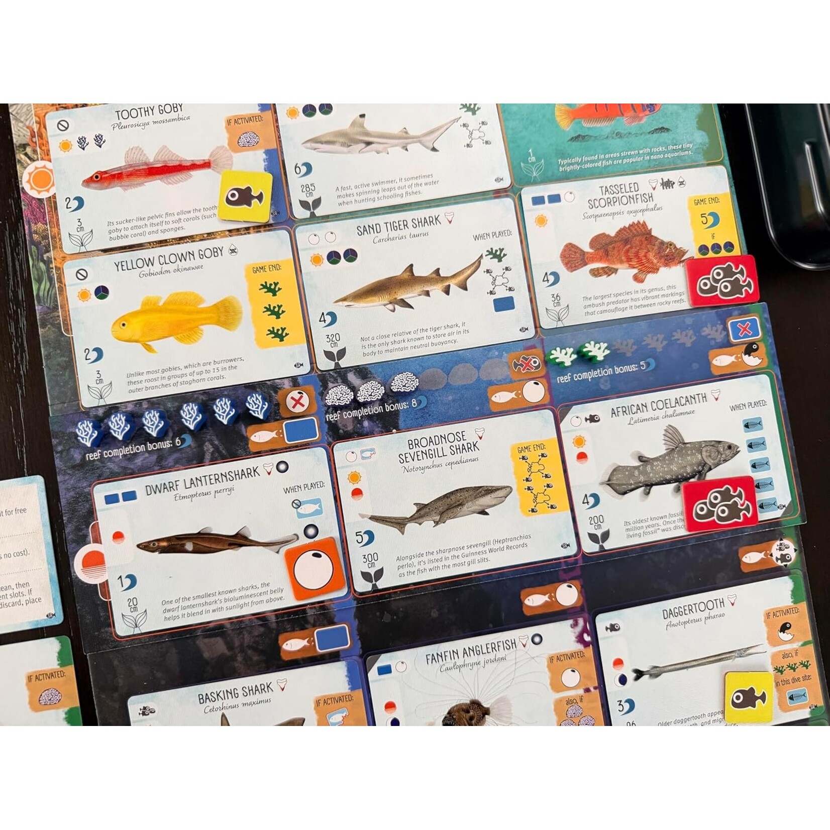 Stonemaier Games Finspan Sharks & Reefs