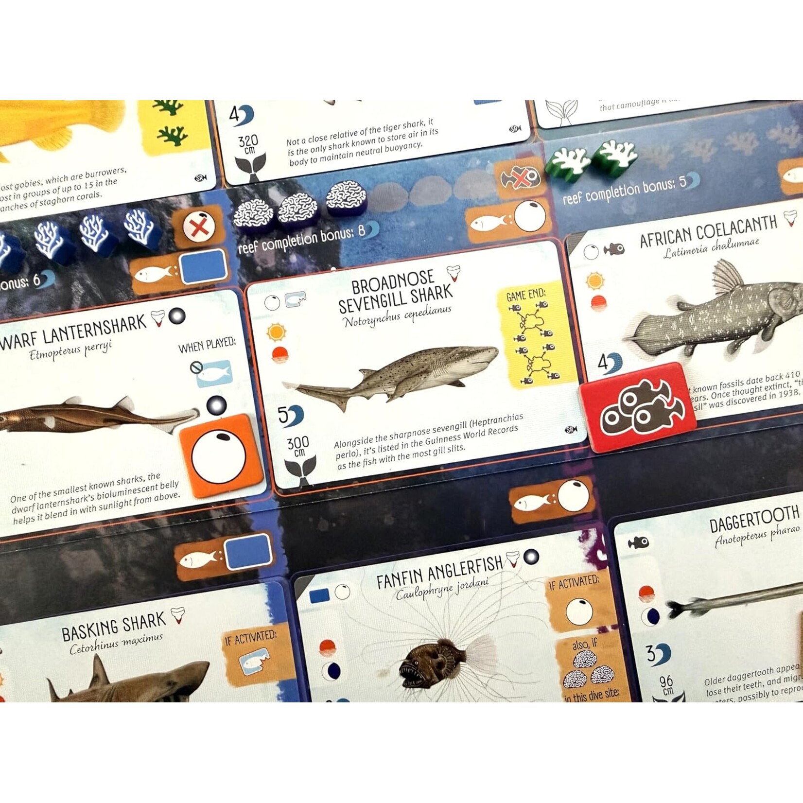 Stonemaier Games Finspan Sharks & Reefs