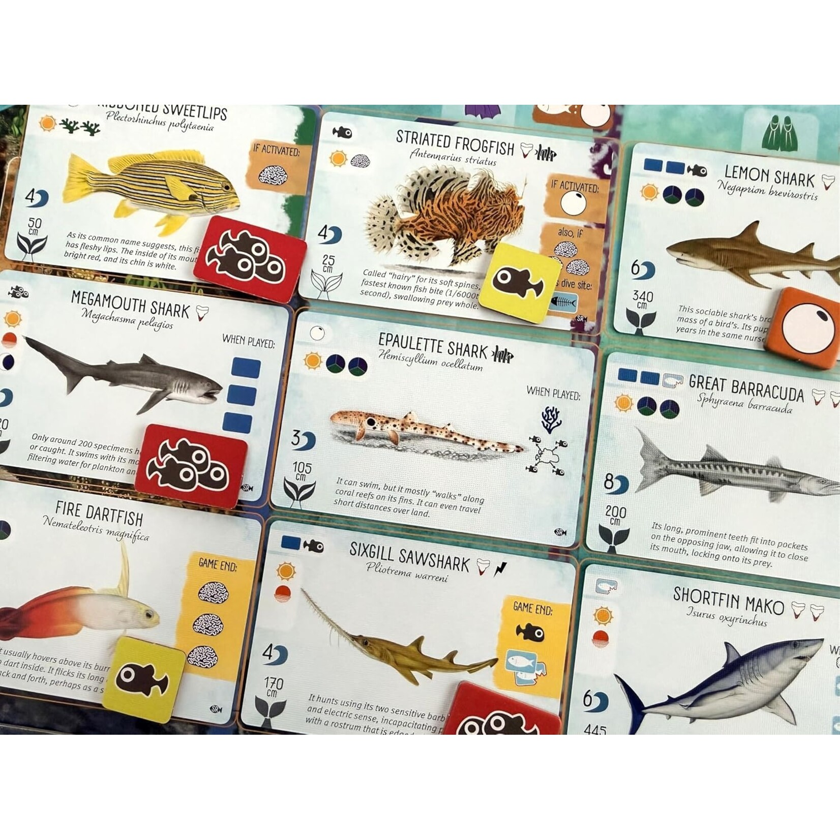 Stonemaier Games Finspan Sharks & Reefs