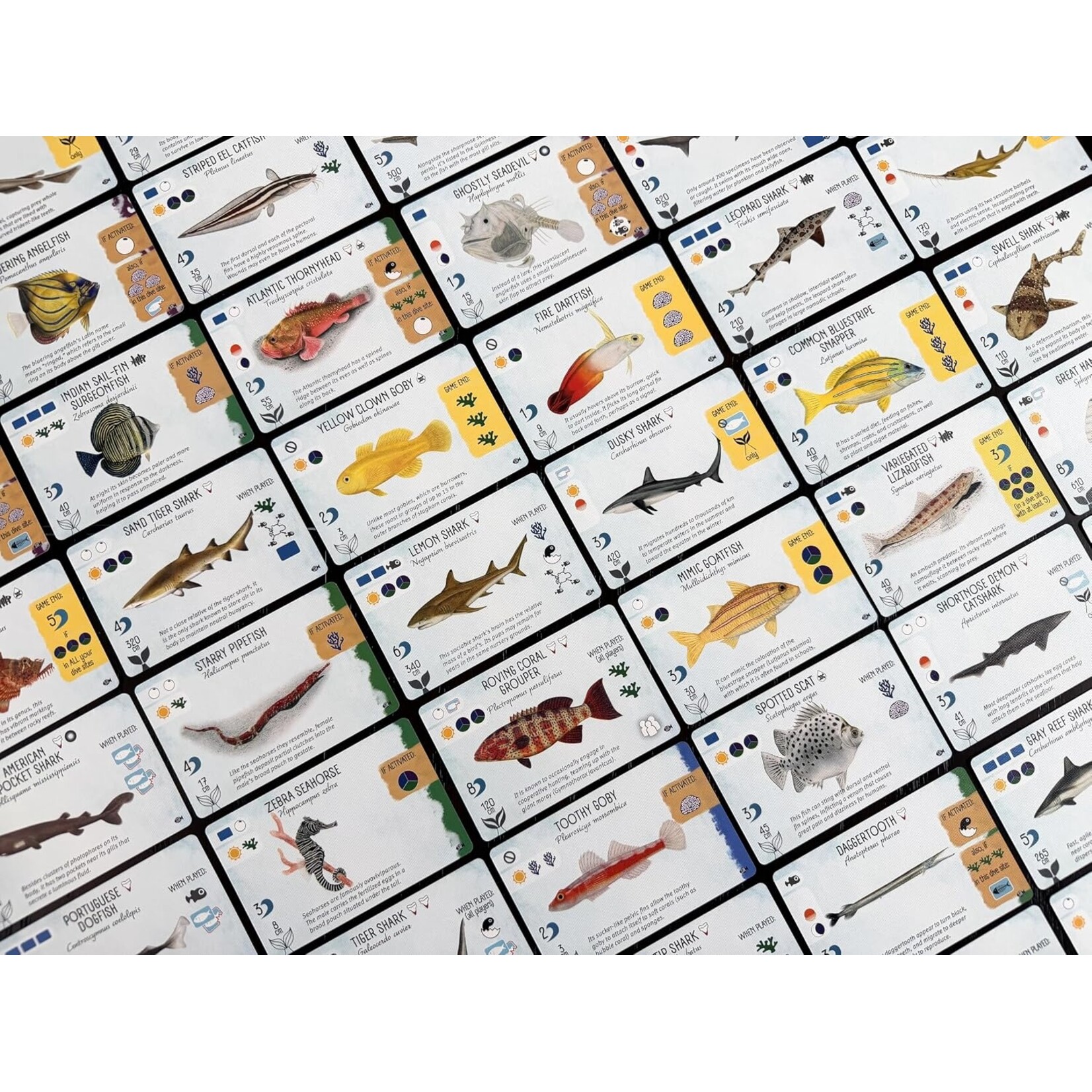 Stonemaier Games Finspan Sharks & Reefs