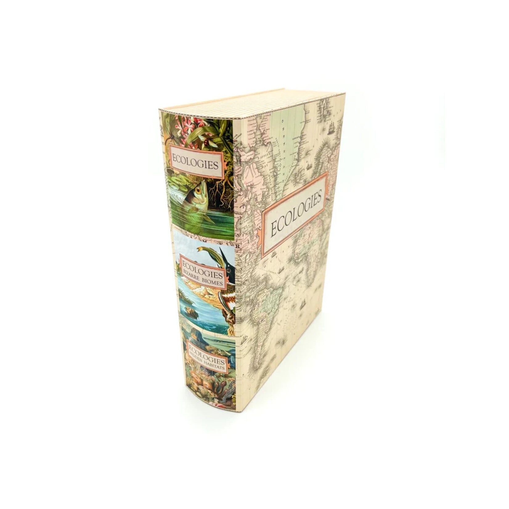 Montrose Biology Ecologies: Faux Book Box Container and Organizer