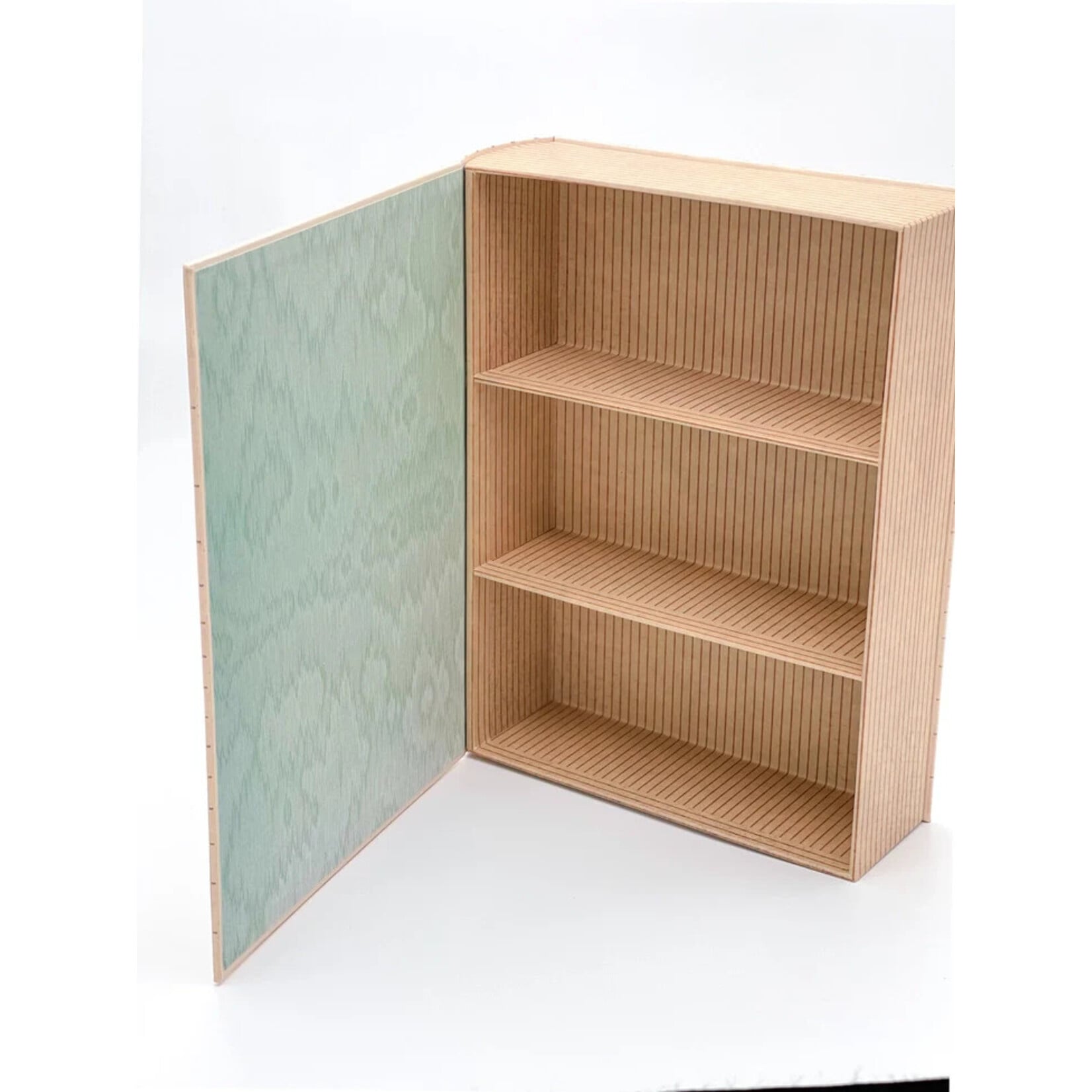 Montrose Biology Ecologies: Faux Book Box Container and Organizer