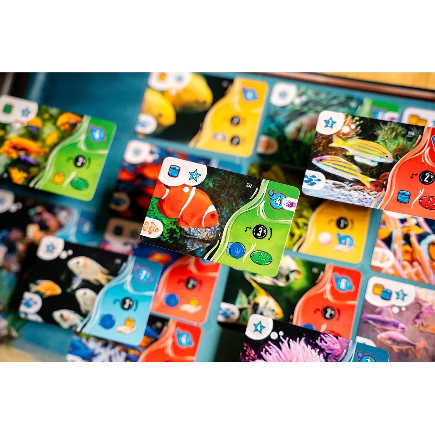 Capstone Games Aquaria