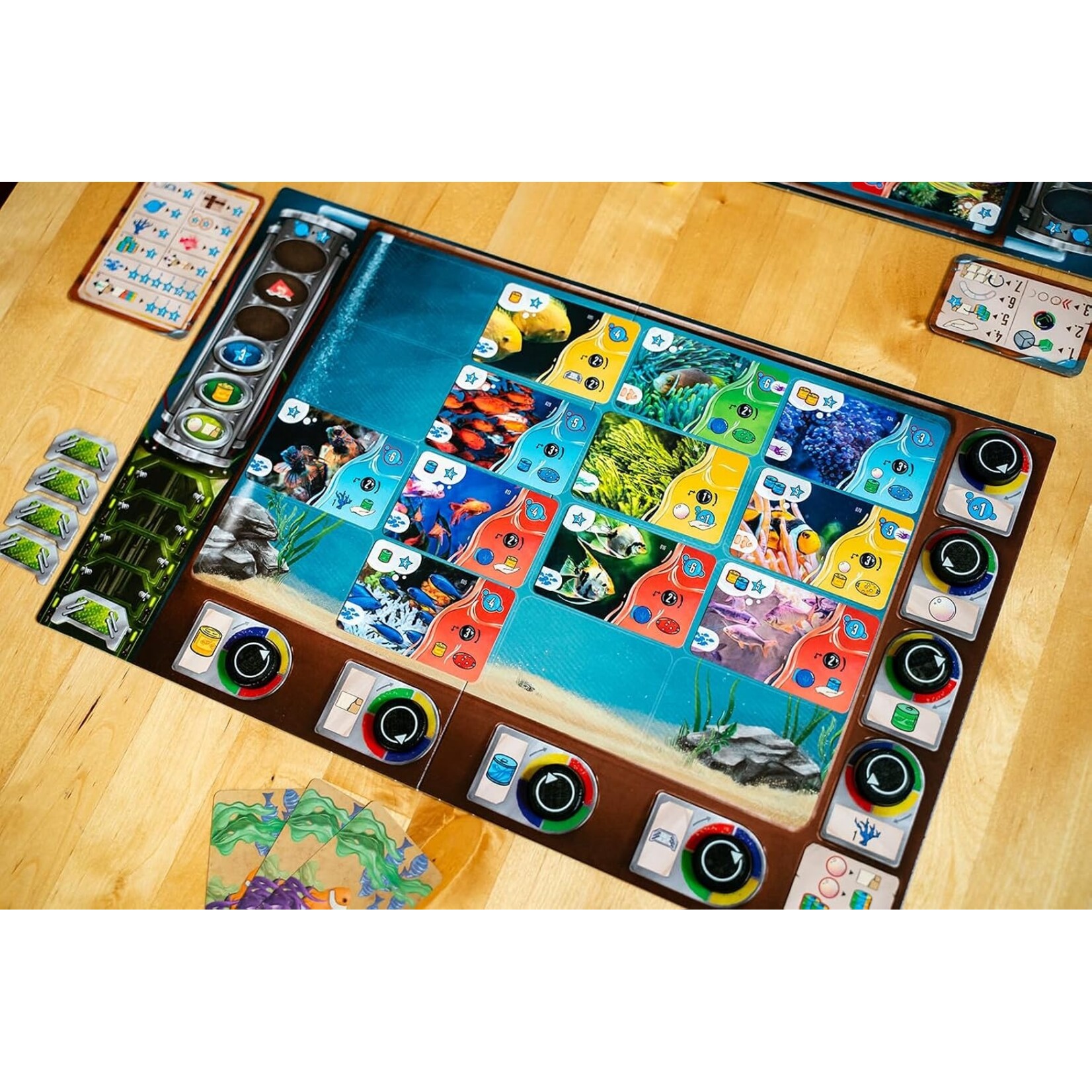 Capstone Games Aquaria