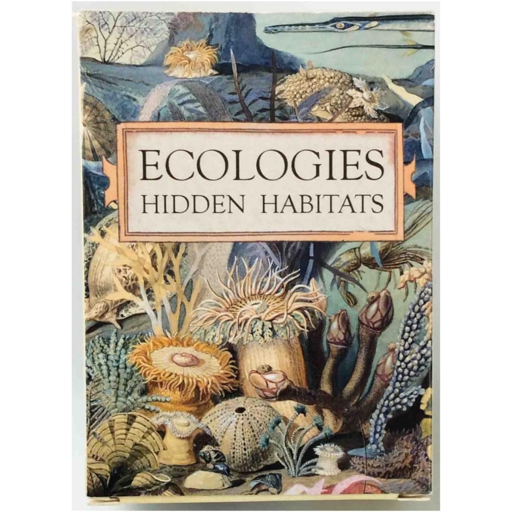Montrose Biology Ecologies: Hidden Habitats