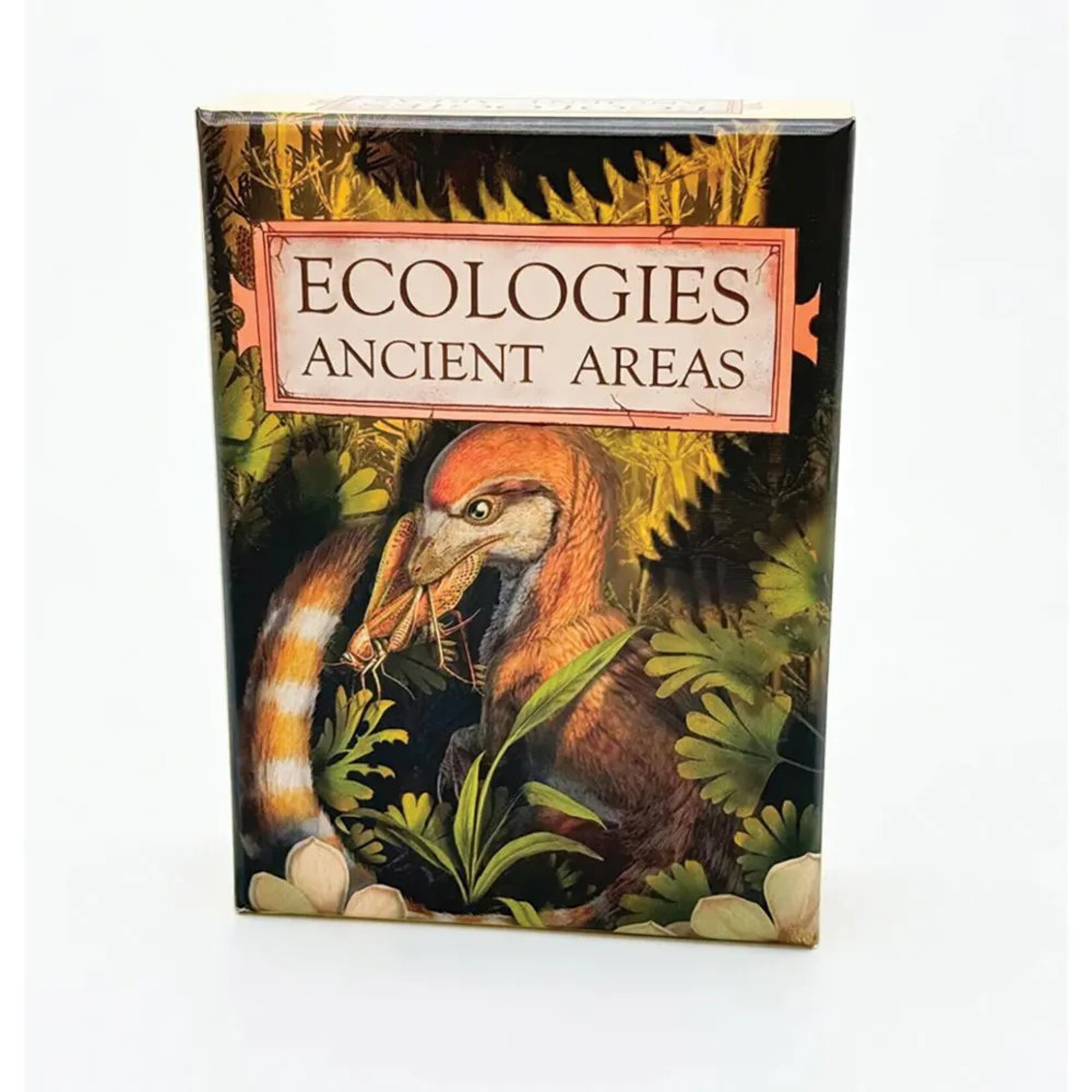 Montrose Biology Ecologies: Ancient Areas