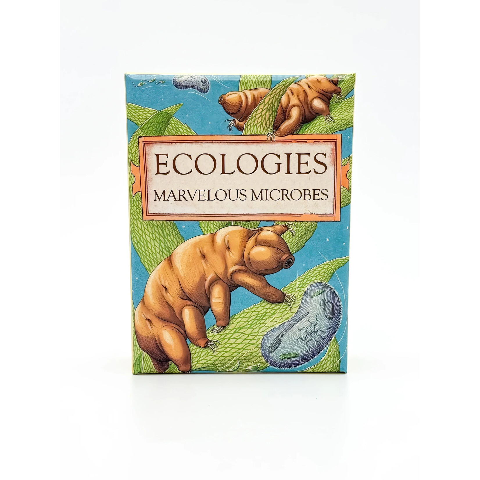 Montrose Biology Ecologies: Marvelous Microbes
