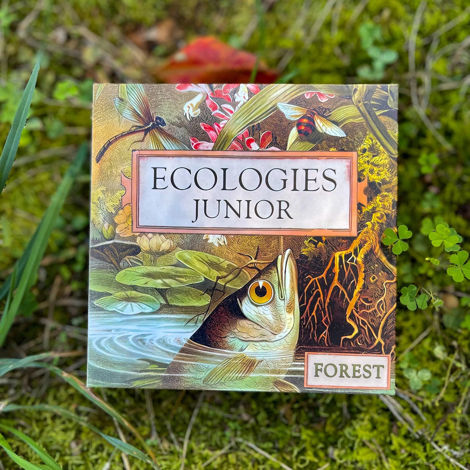 Montrose Biology Ecologies Junior: Forest