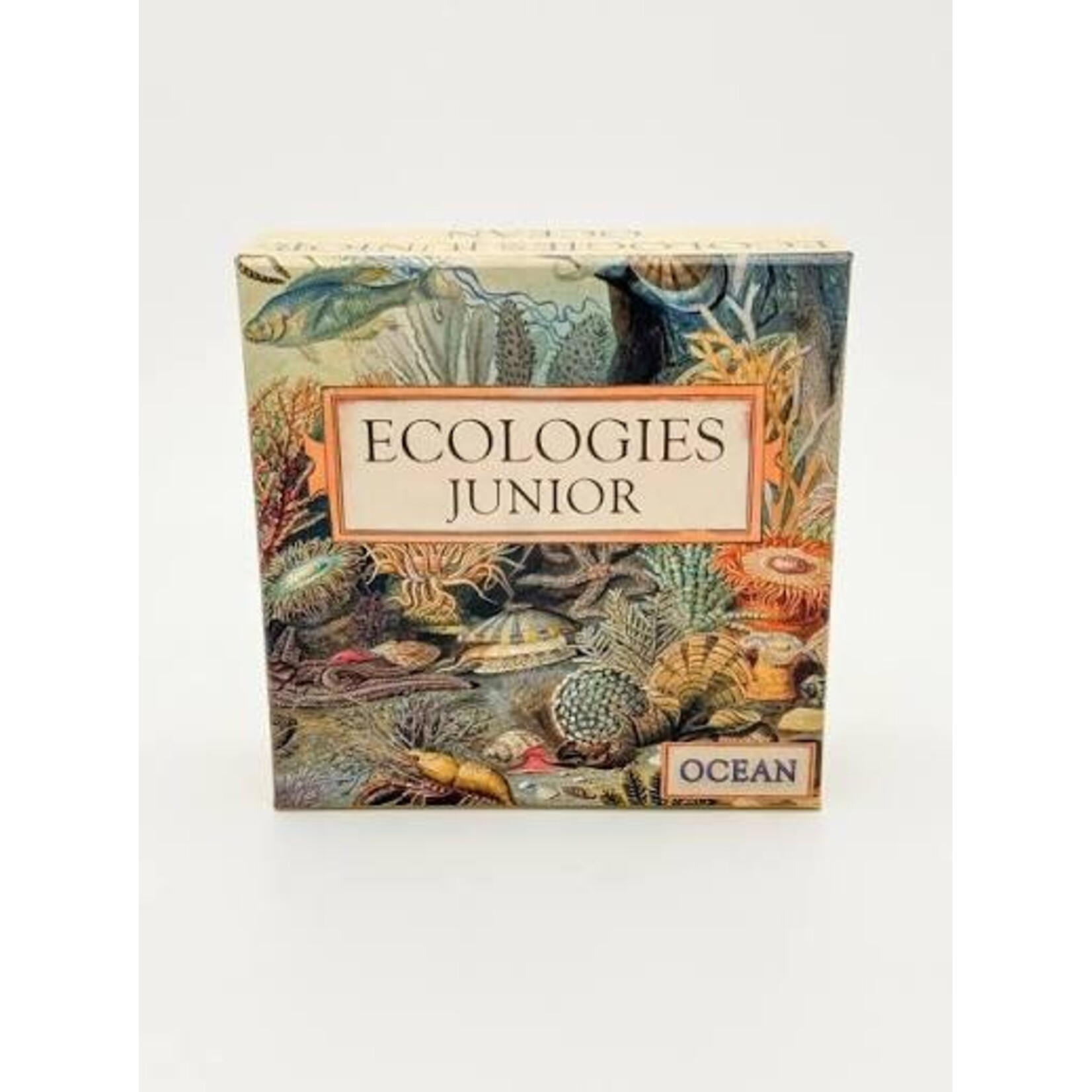Montrose Biology Ecologies Junior: Ocean