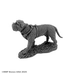 Reaper Minis Legends: Garr, War Dog