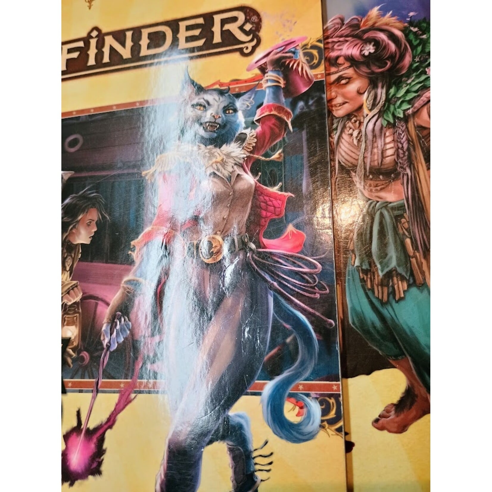 USED Pathfinder: Extinction Curse Lot